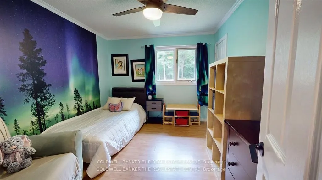 4557 Trent Trail