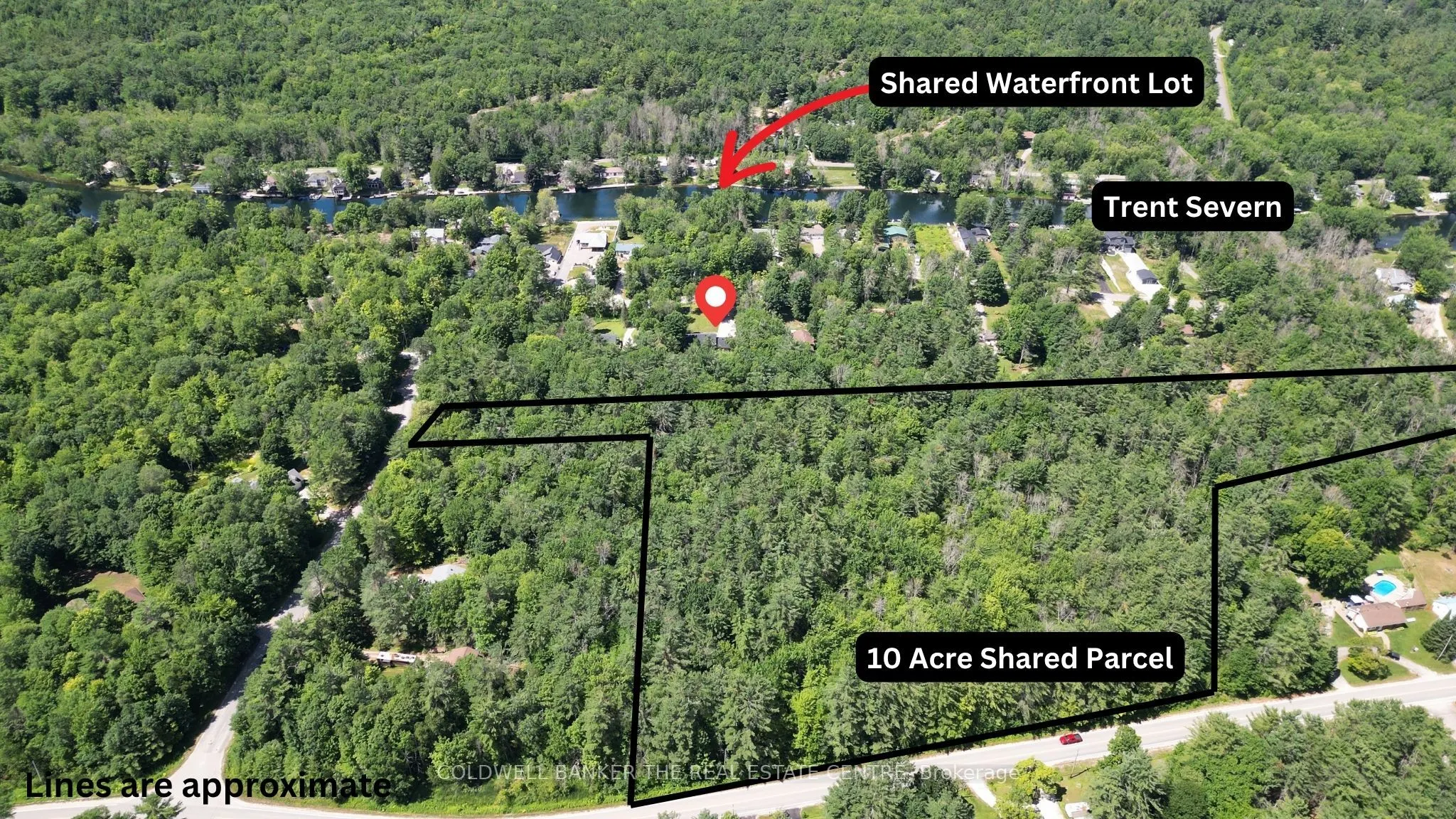 4557 Trent Trail