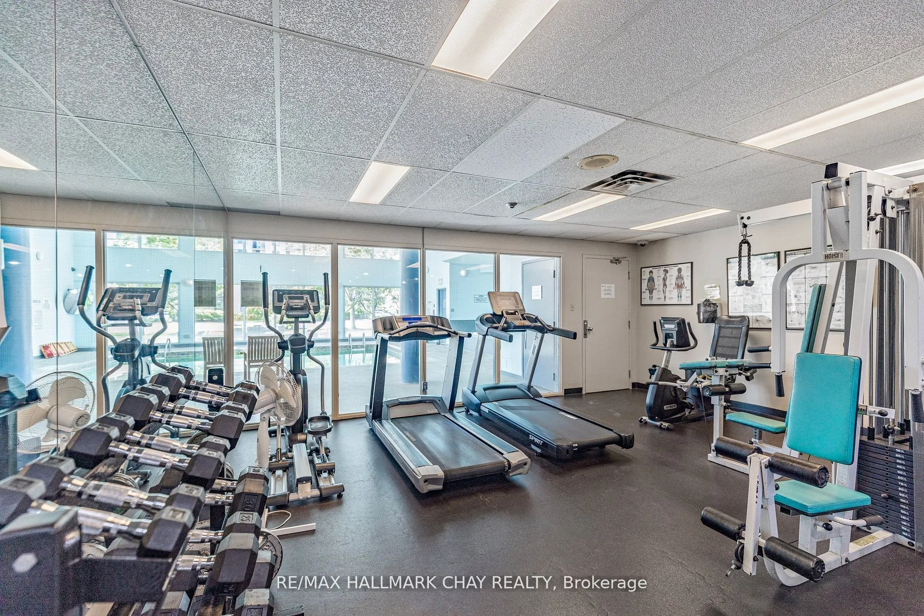 65 Ellen Street, #205