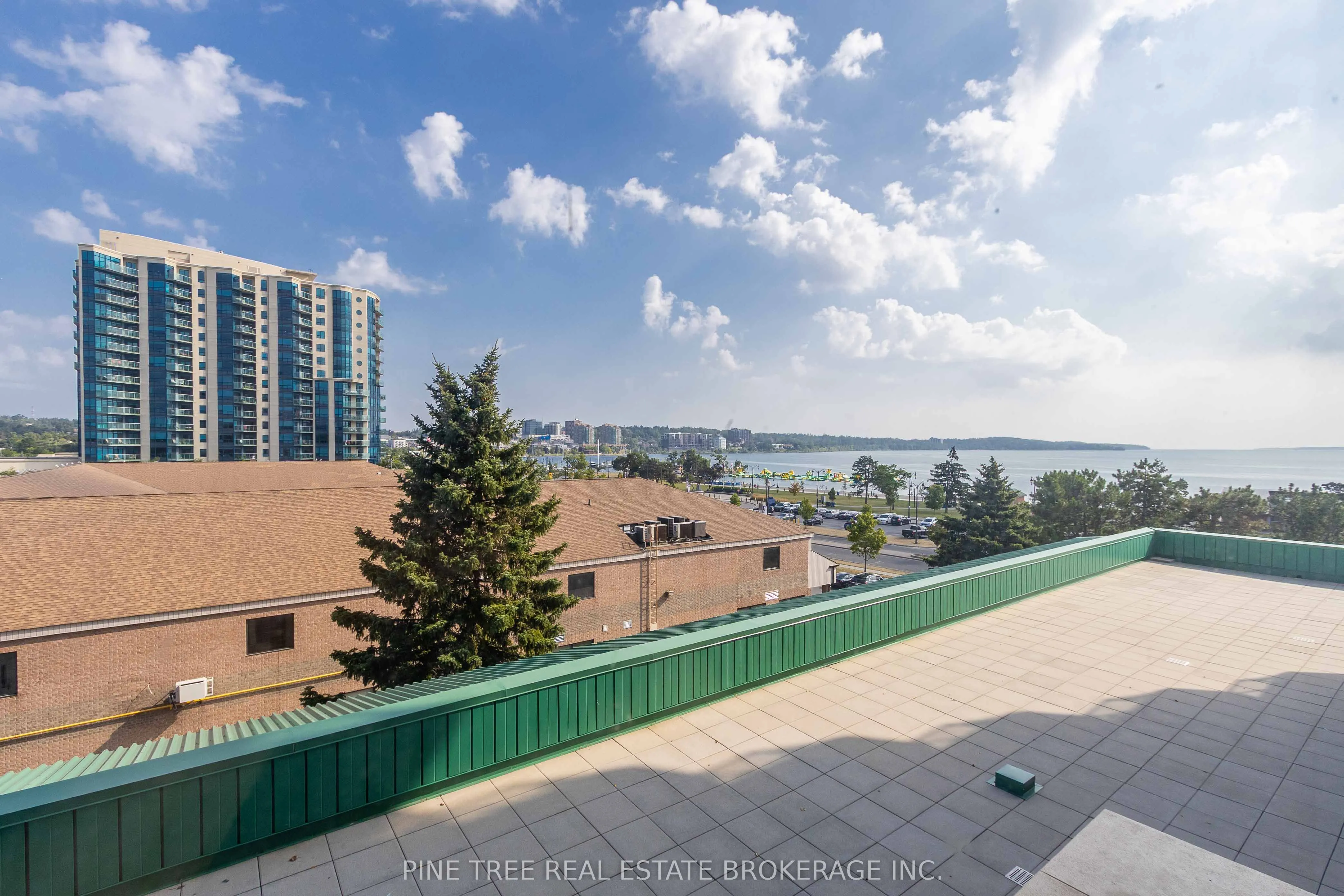 65 Ellen Street, #201