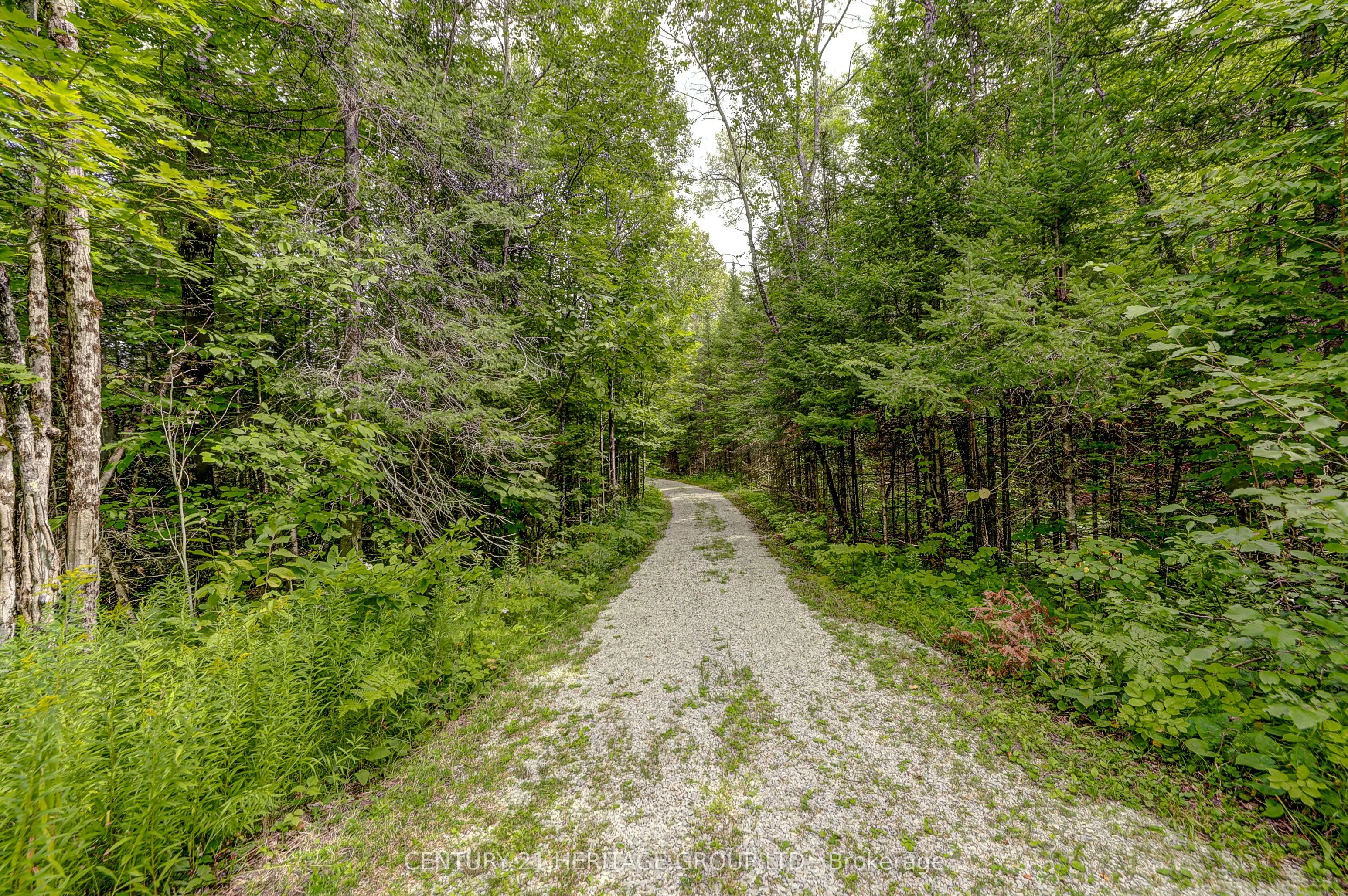4411 Upper Big Chute Road