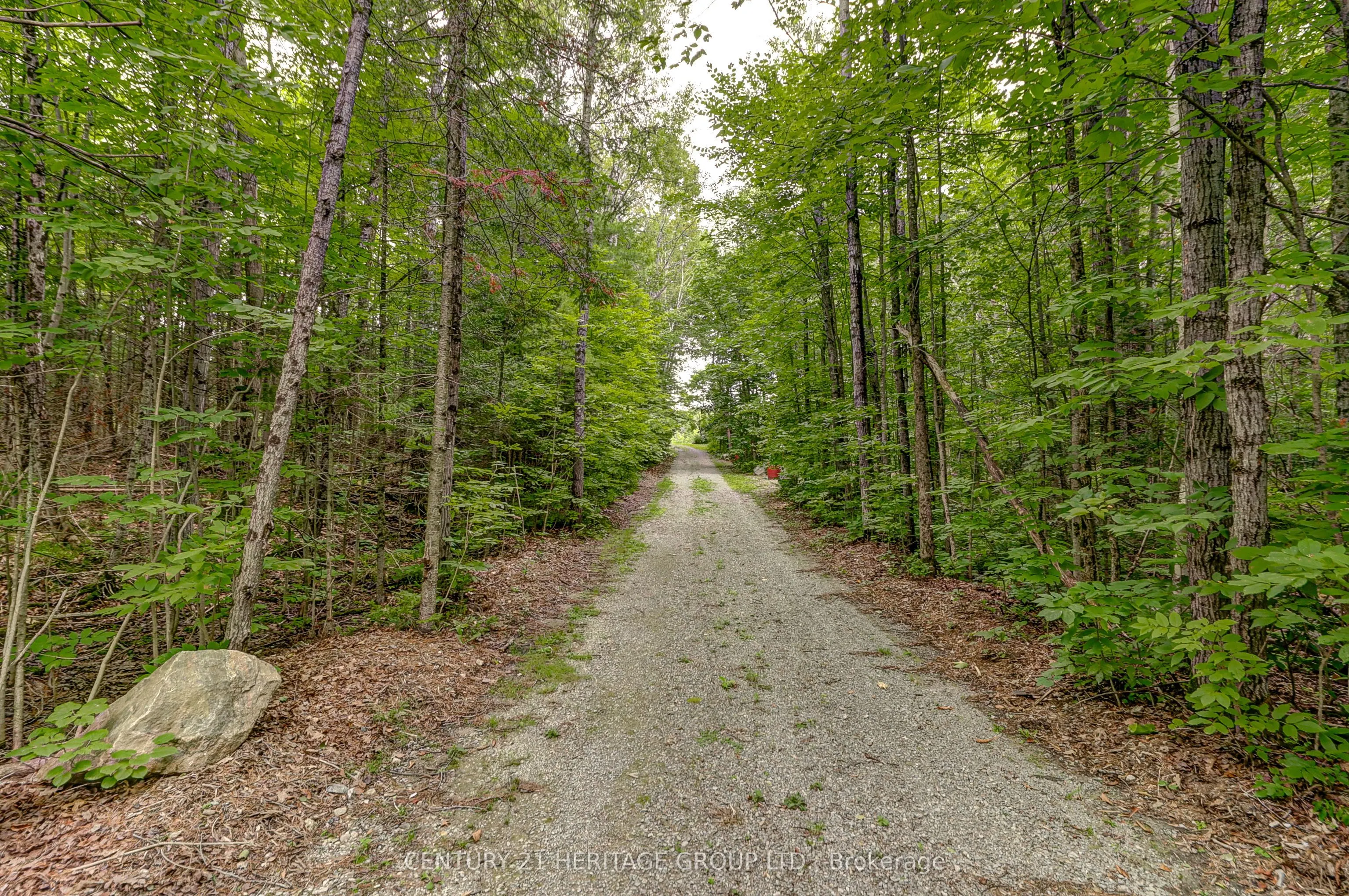 4411 Upper Big Chute Road