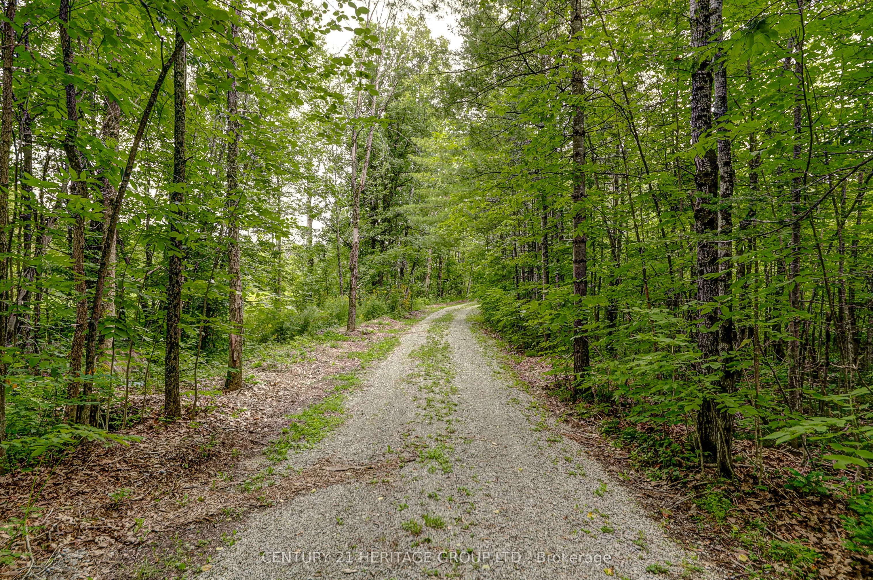 4411 Upper Big Chute Road