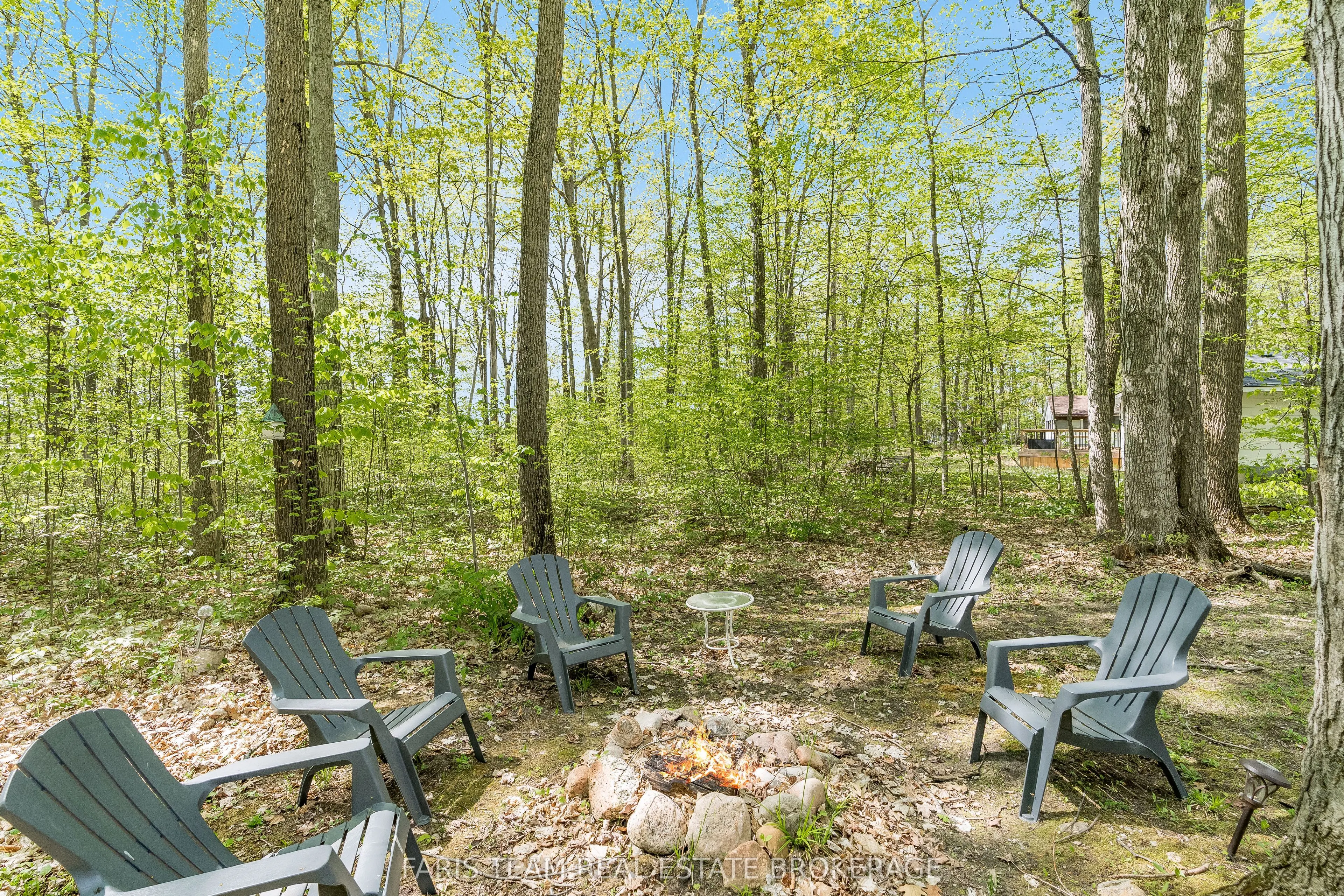 104 Silver Birch Drive