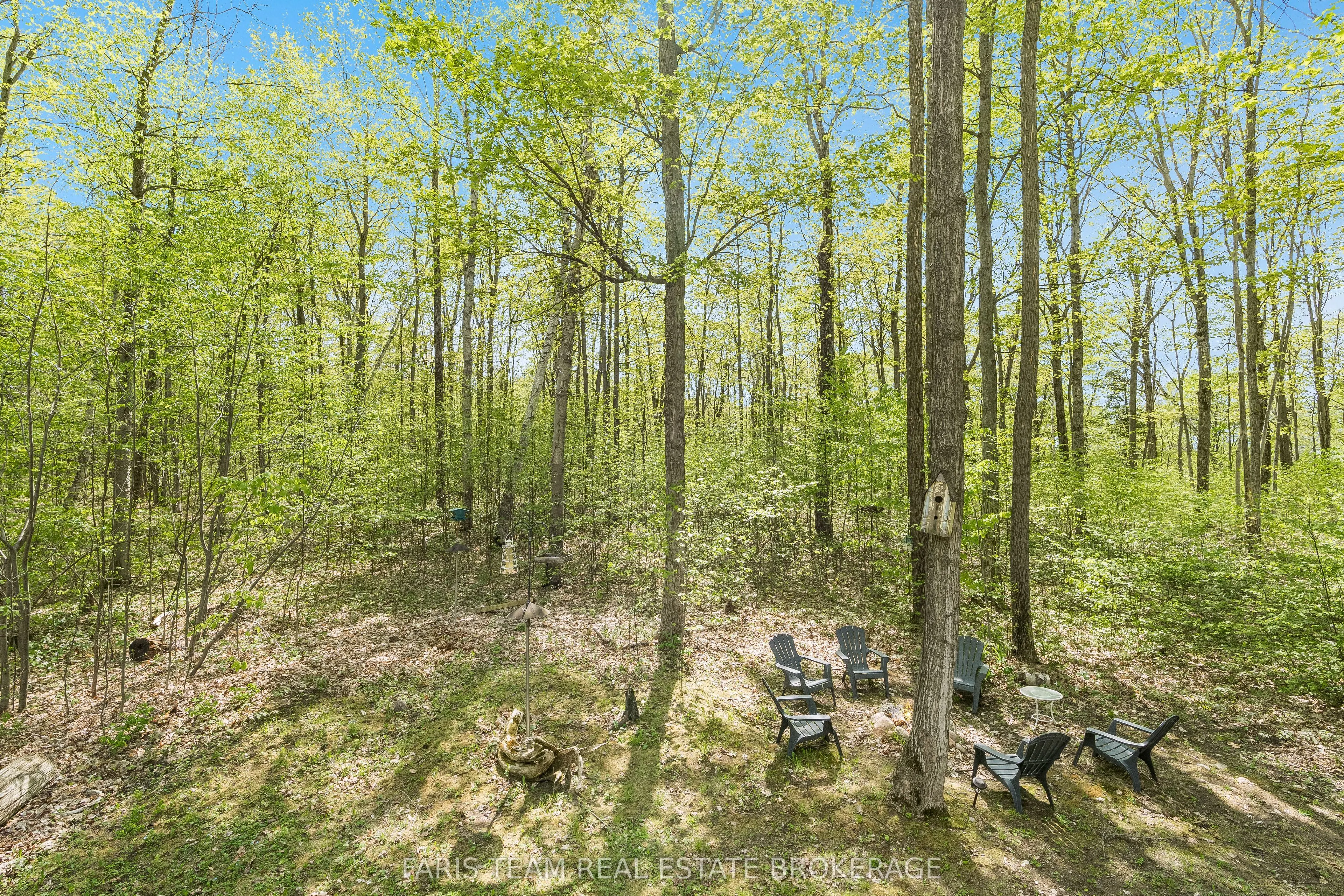 104 Silver Birch Drive
