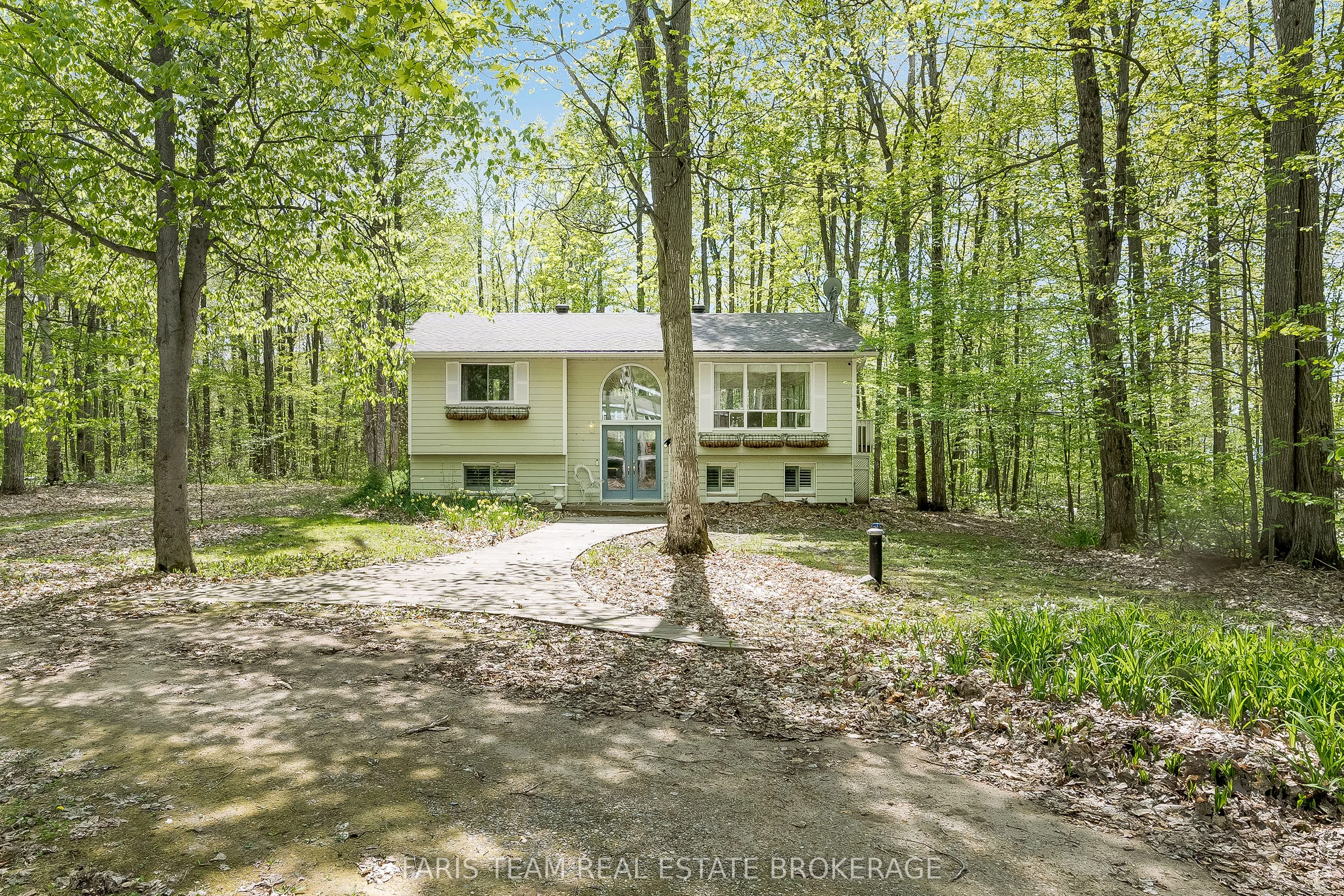104 Silver Birch Drive
