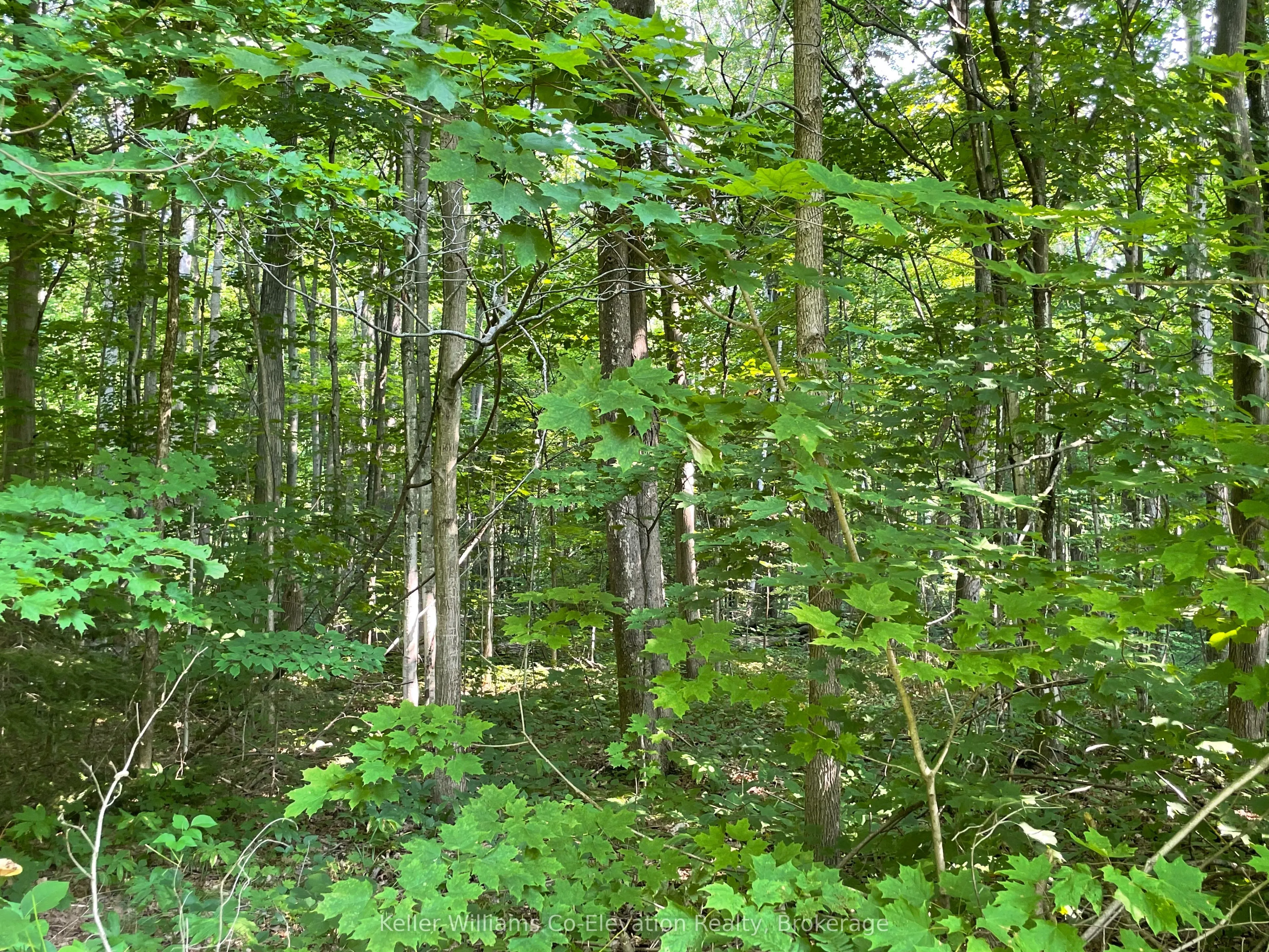 Lot 24 Crooked Creek Crescent