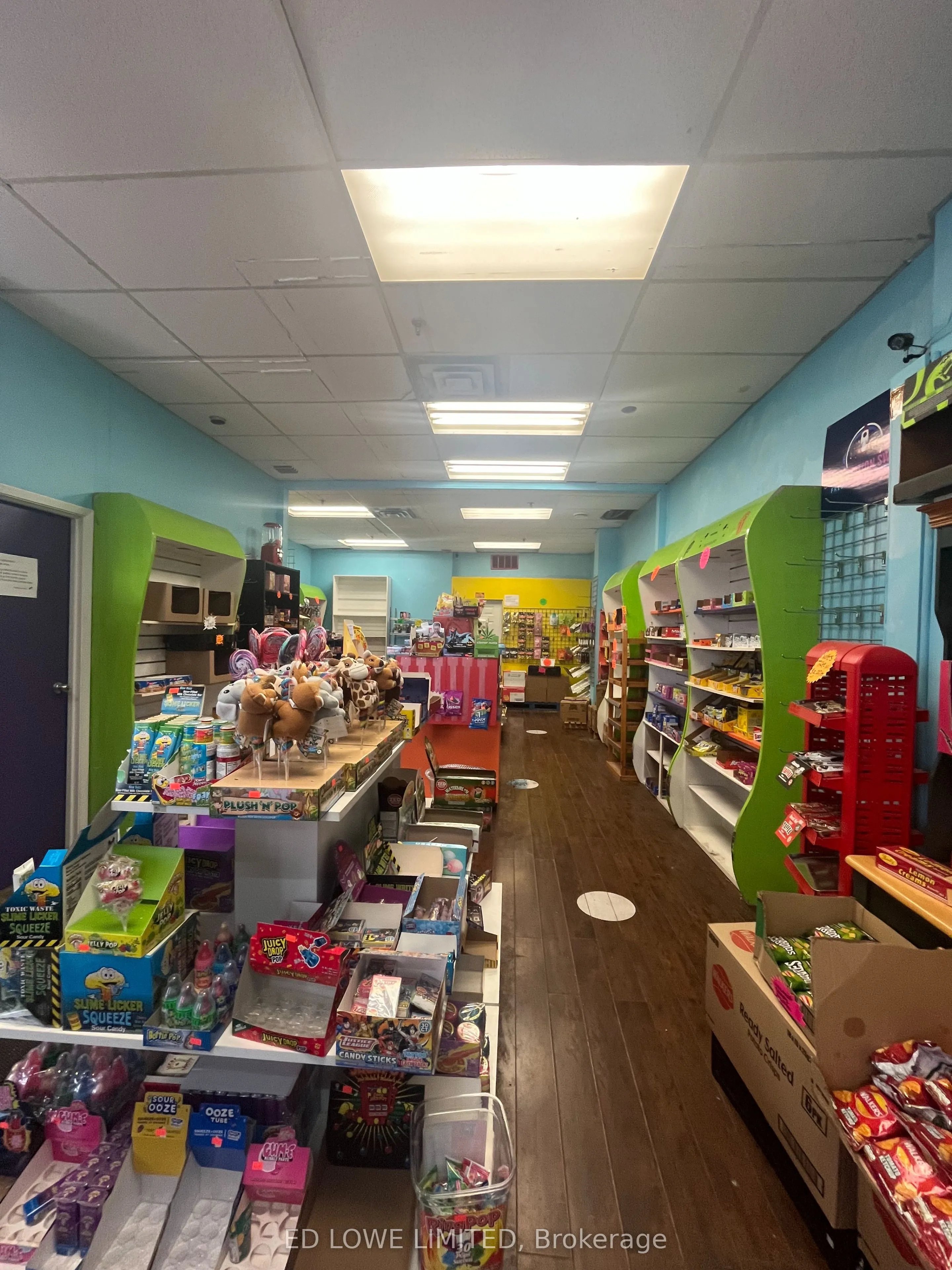 461 Dunlop Street W, #5
