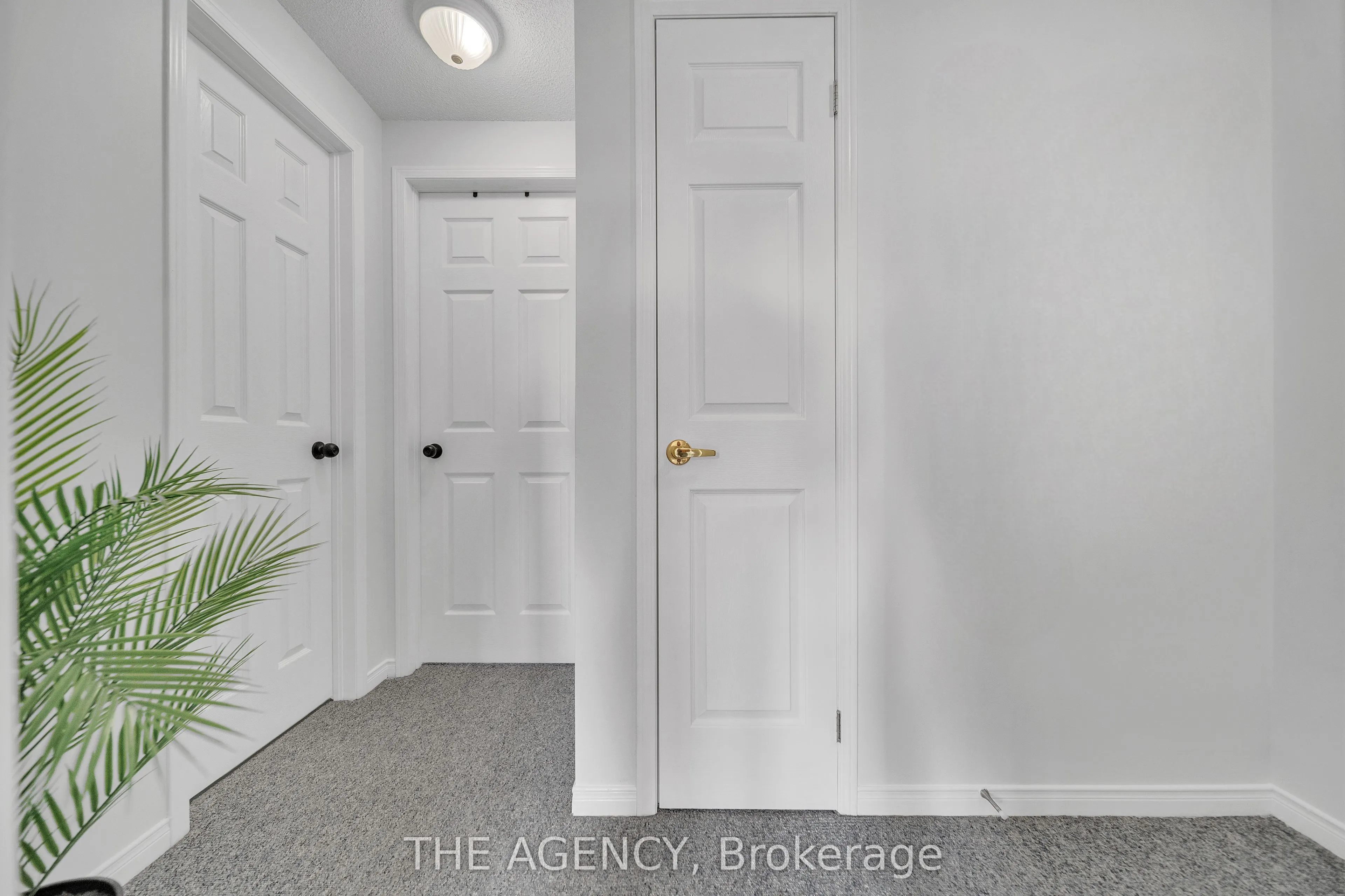 56 Quinlan Road