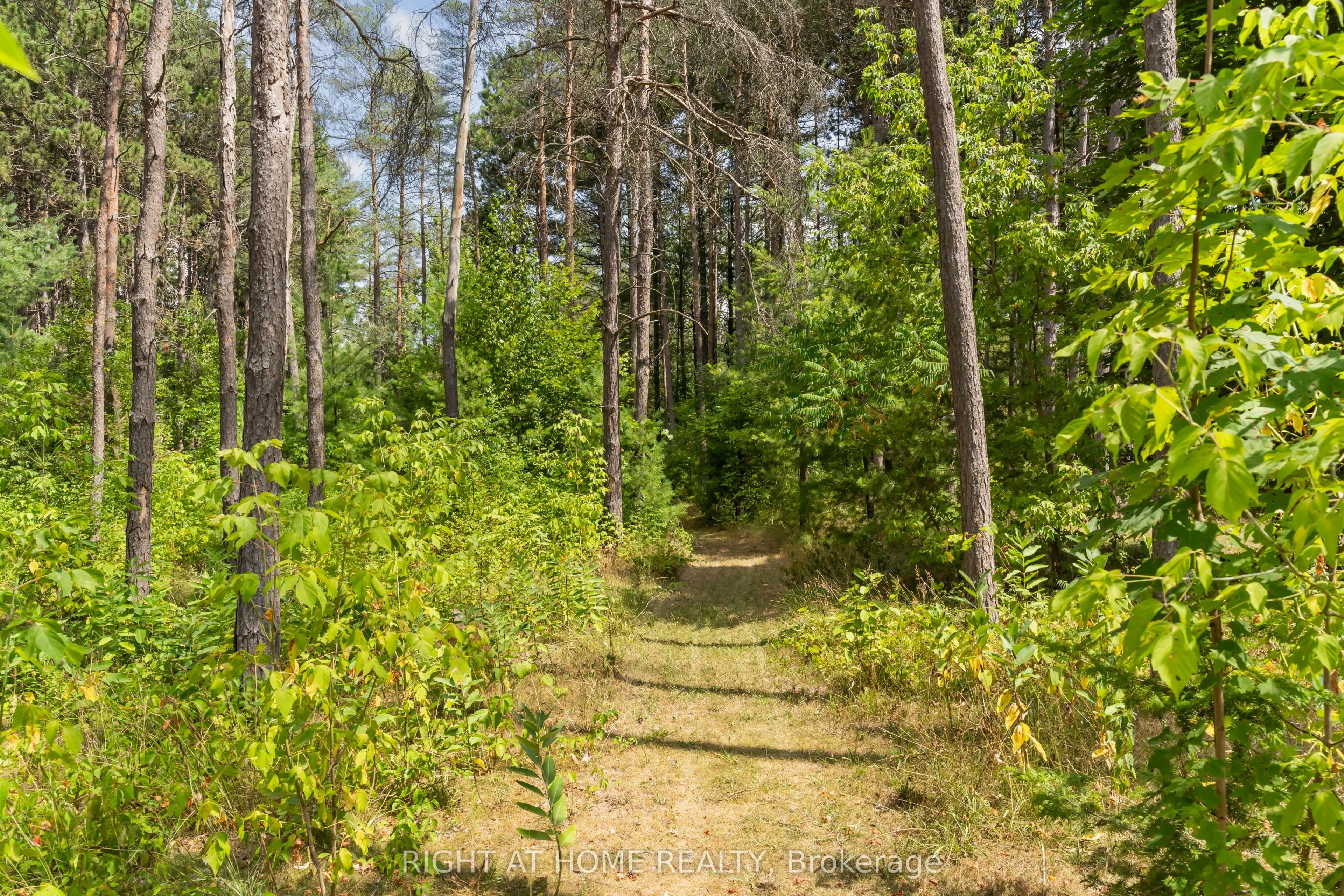 6216 Sunnidale Tosorontio Townline