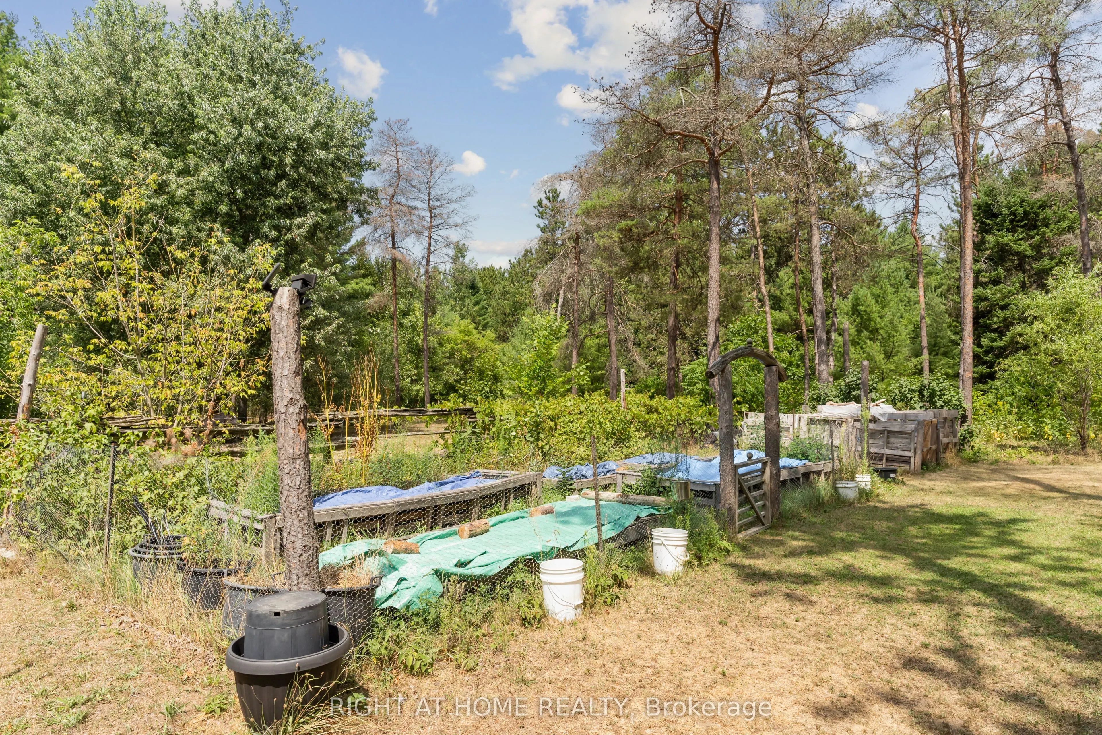 6216 Sunnidale Tosorontio Townline