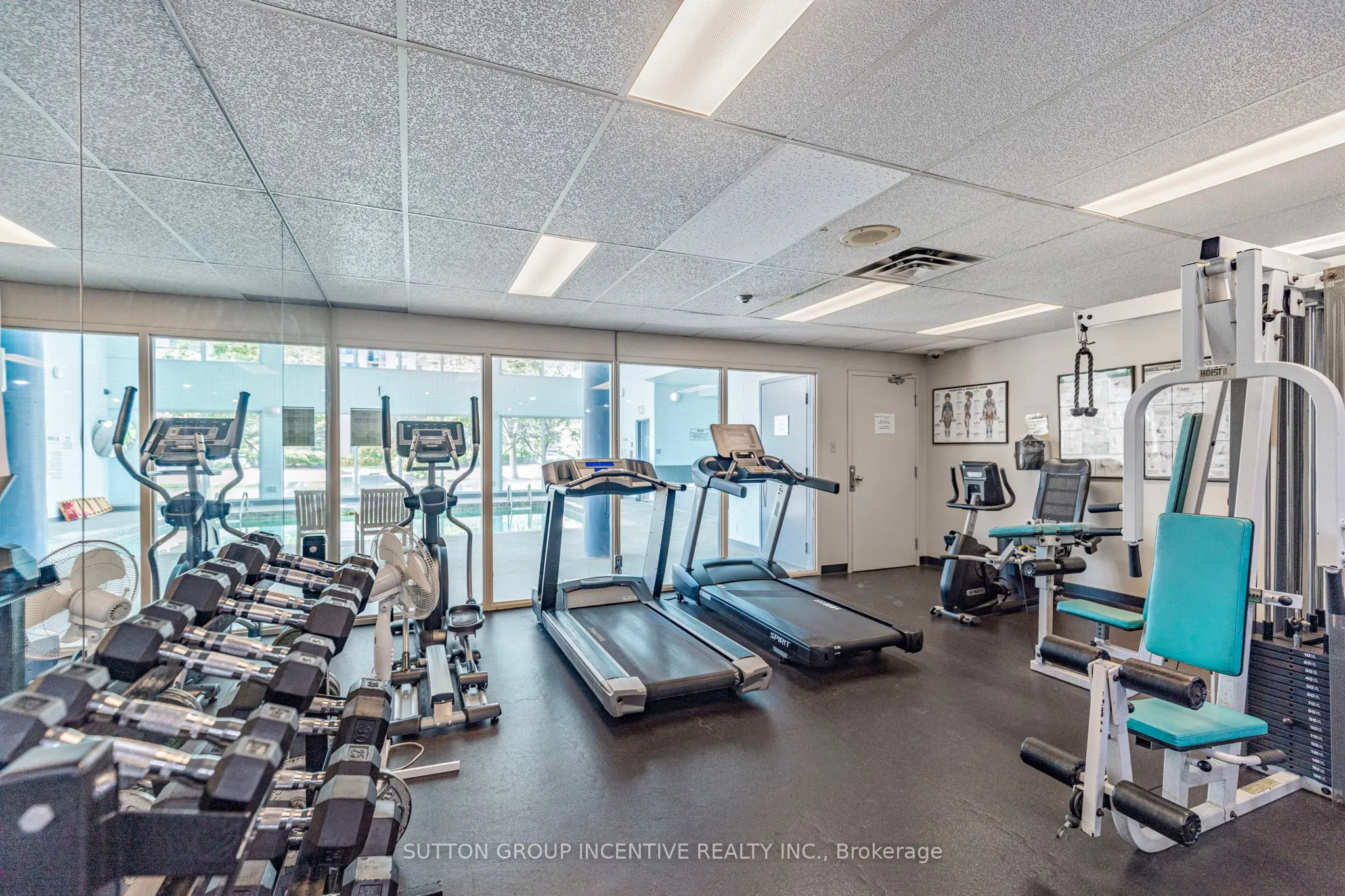 75 Ellen Street, #710
