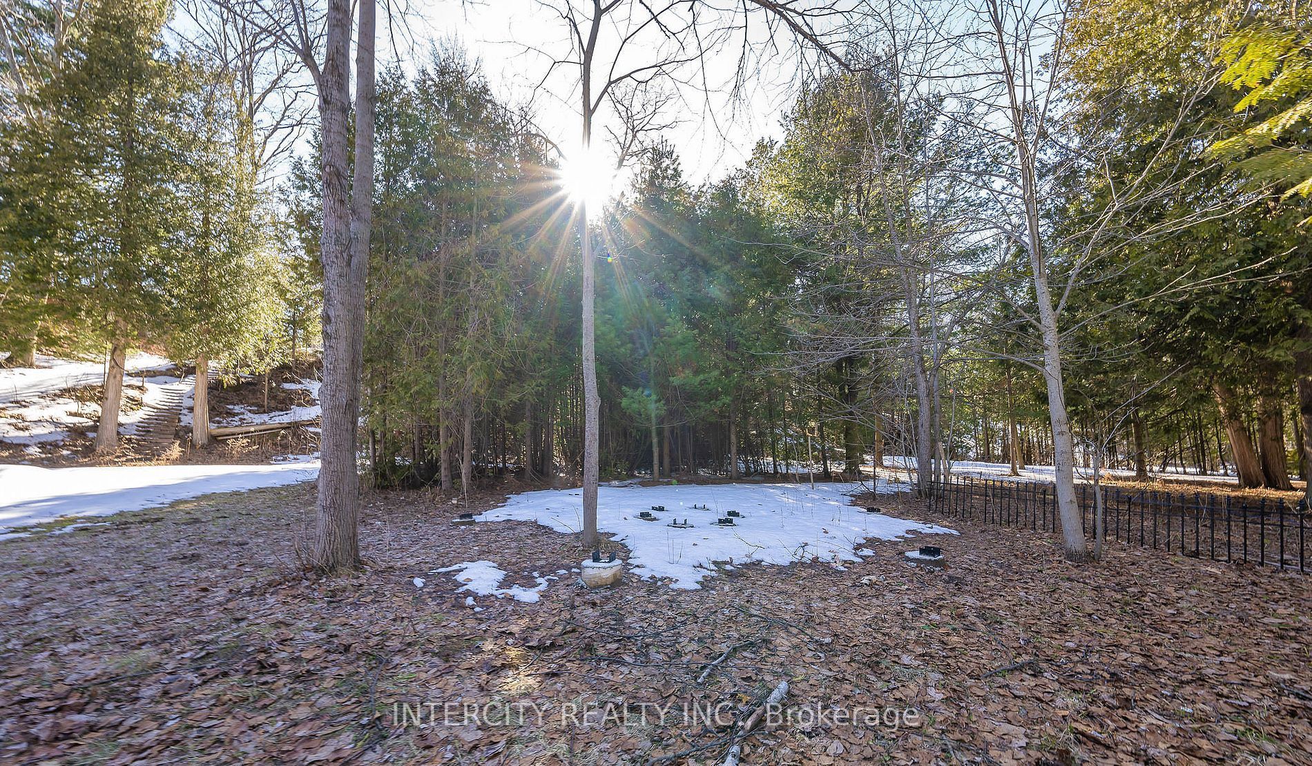 229 Sunnidale Road