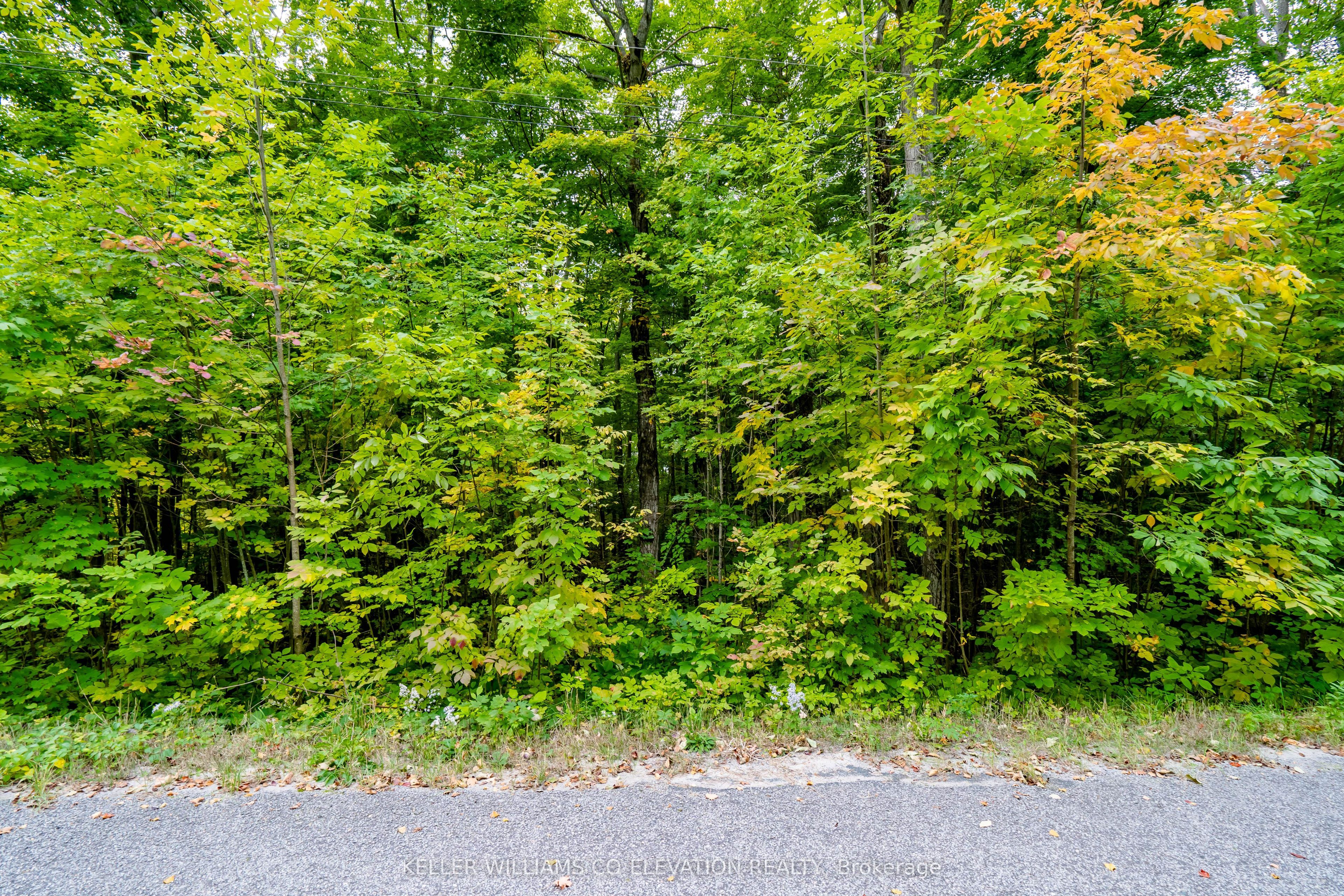 Lot 45 Tiny Beaches Road N