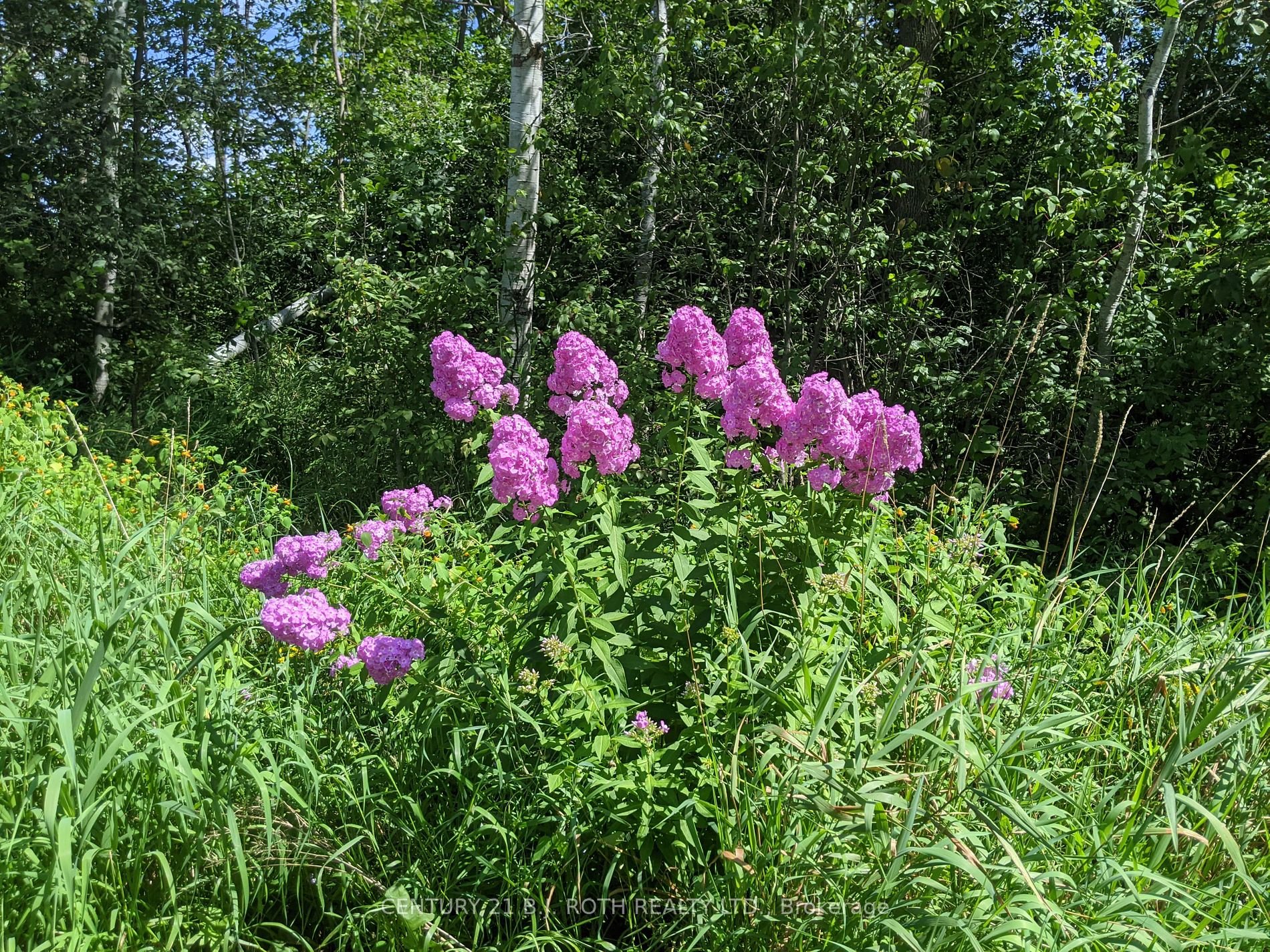 2361 George Johnston Road