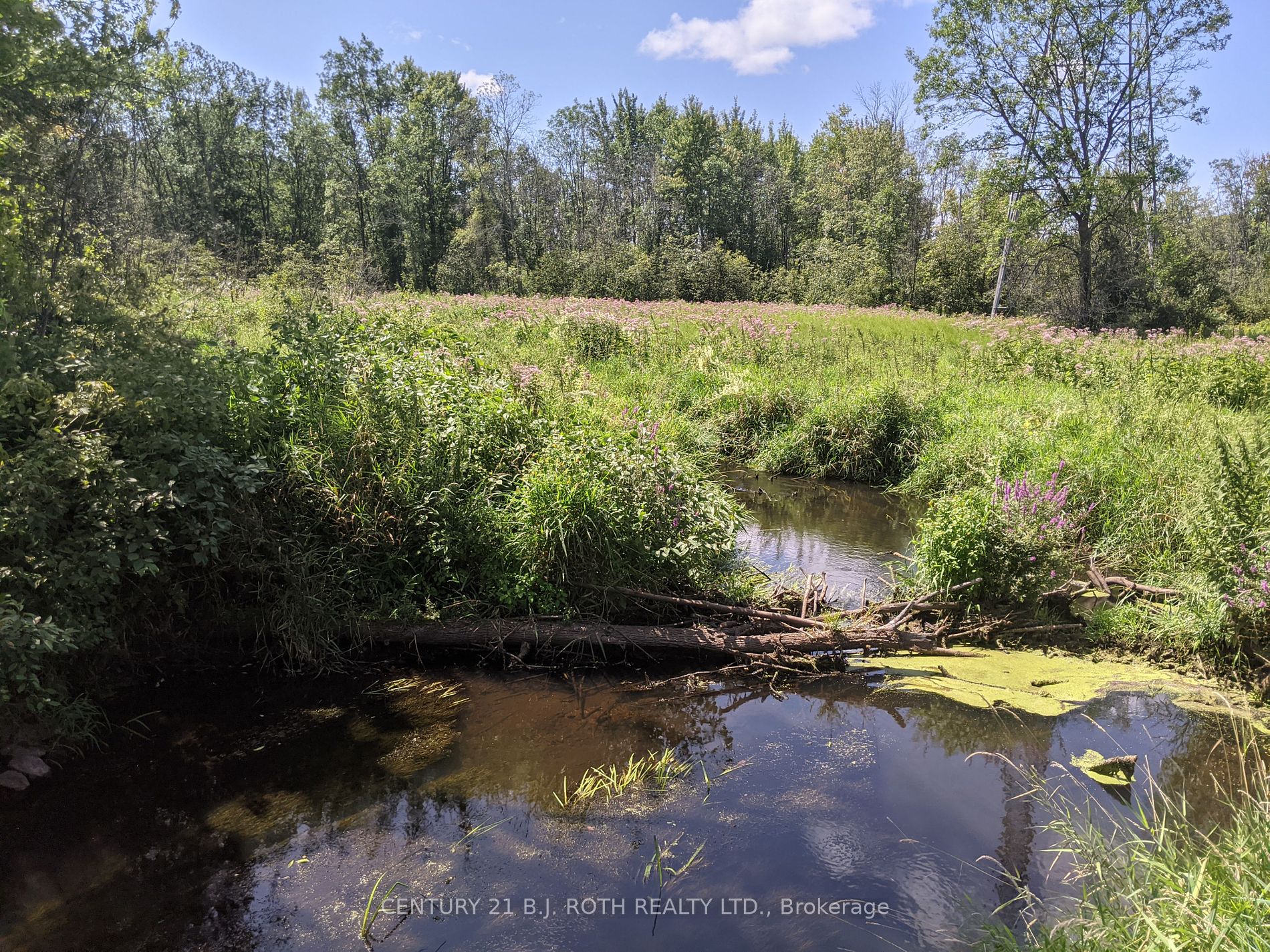 2361 George Johnston Road