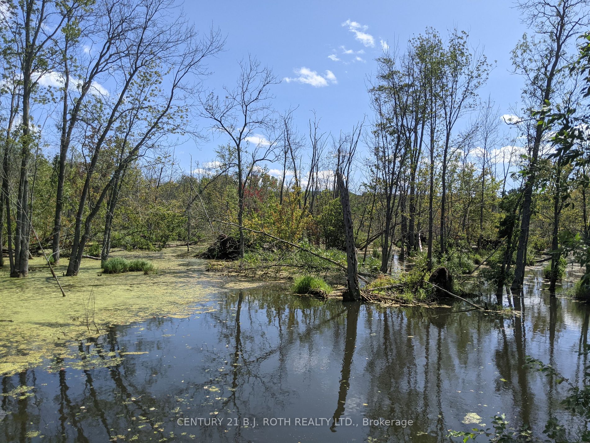 2361 George Johnston Road