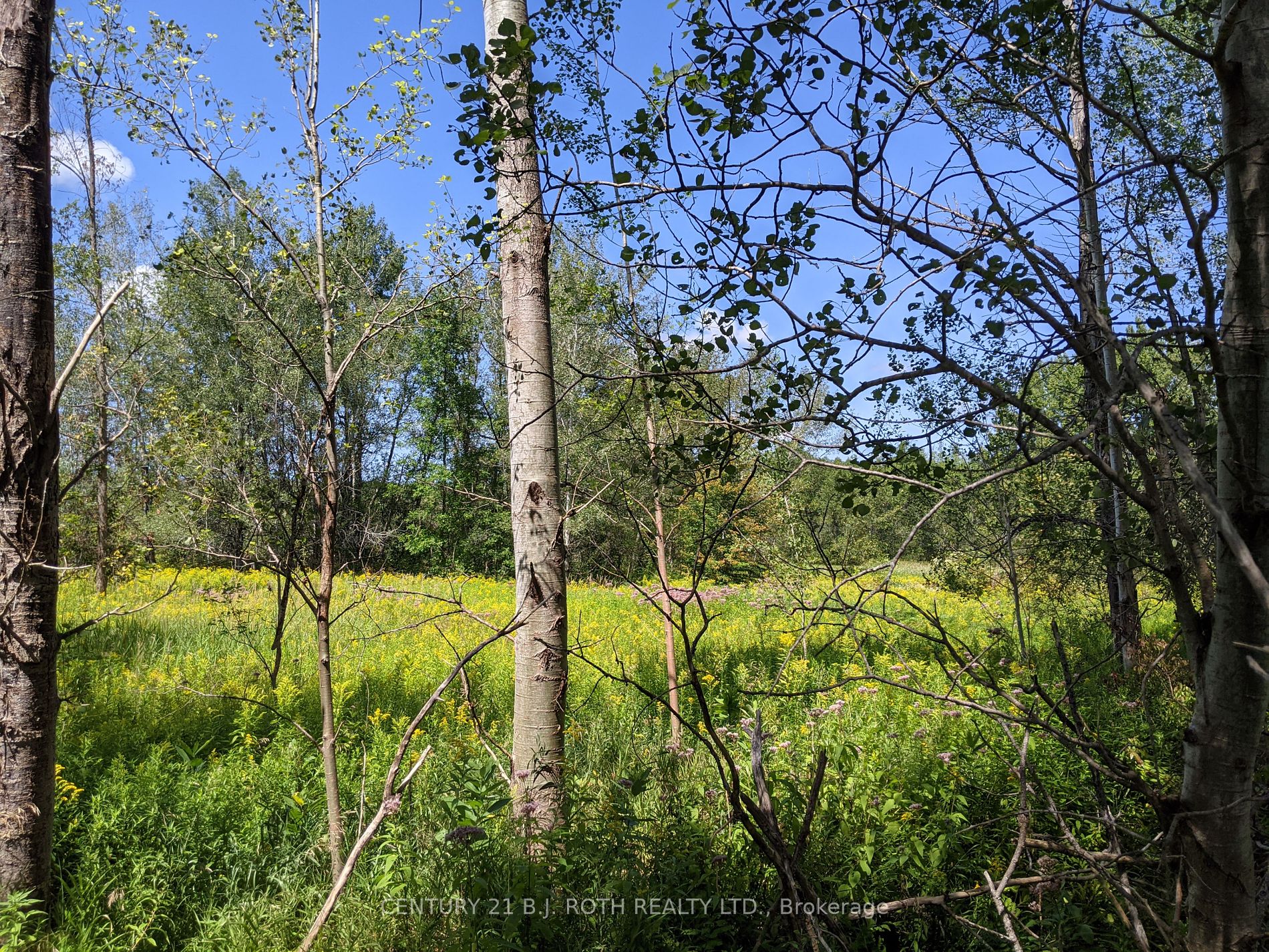 2361 George Johnston Road