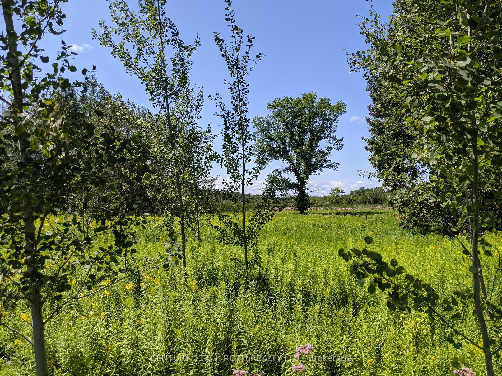 2361 George Johnston Road