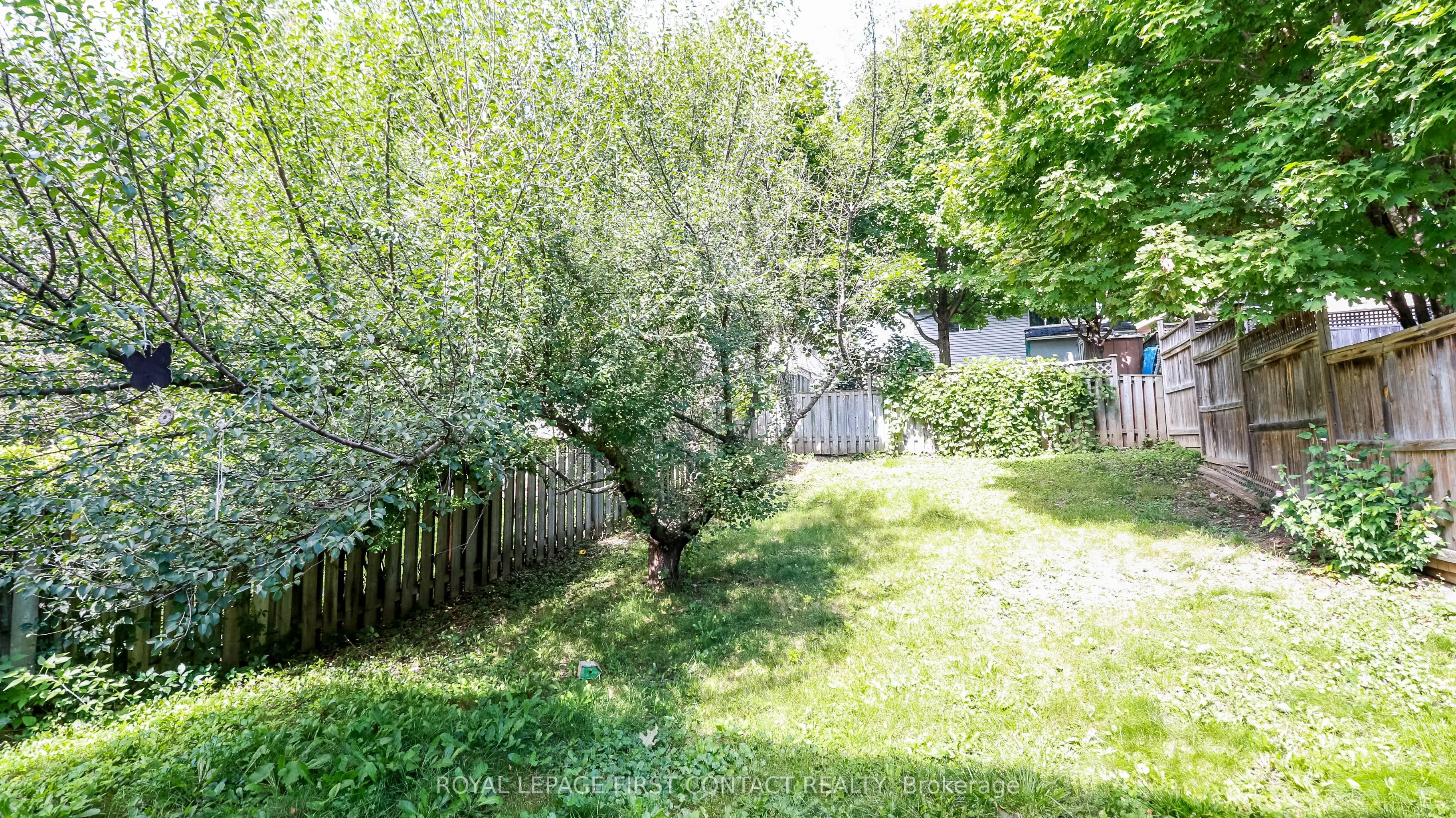 50 Patton Road