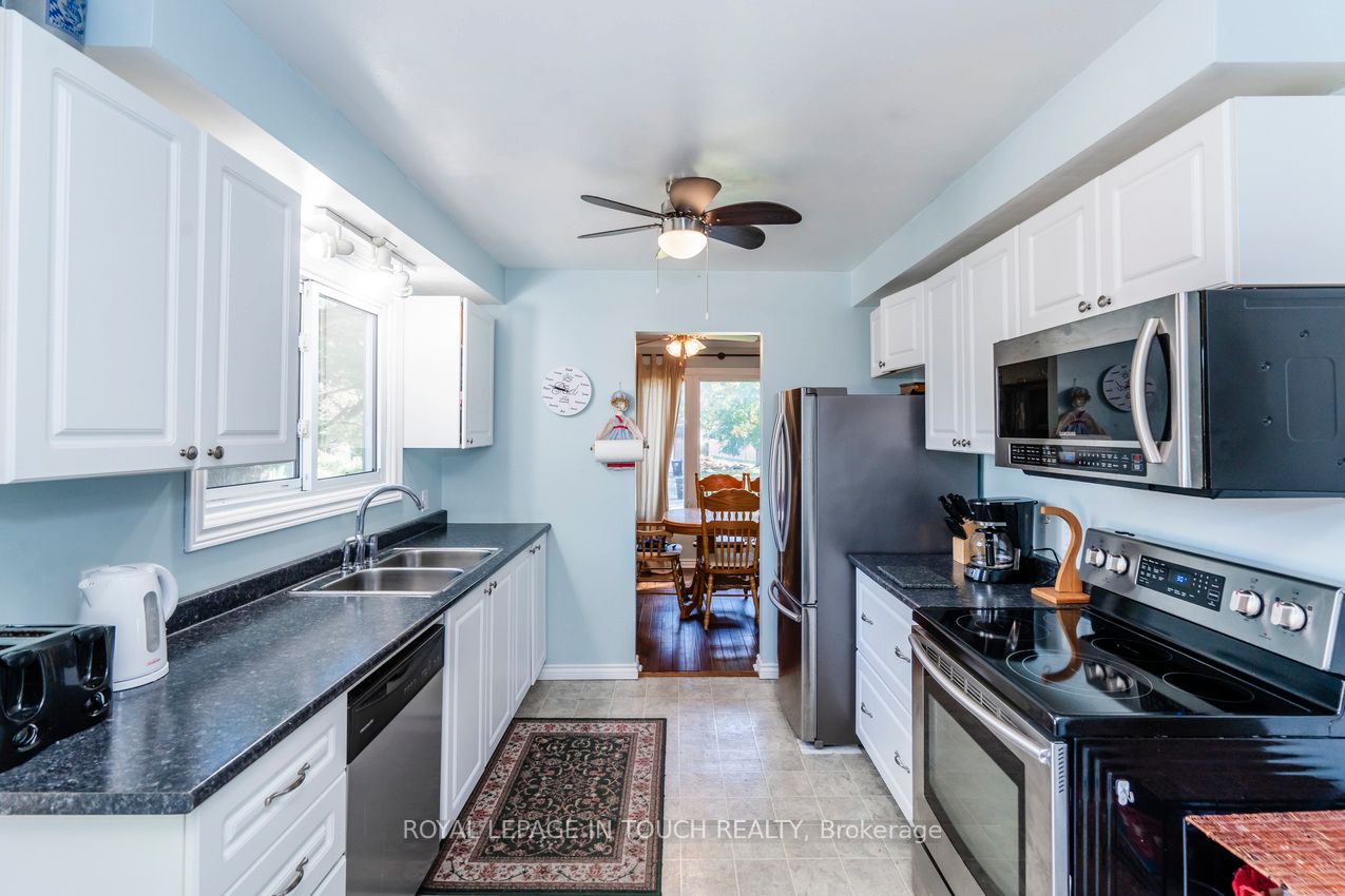 35 Dorcas Avenue