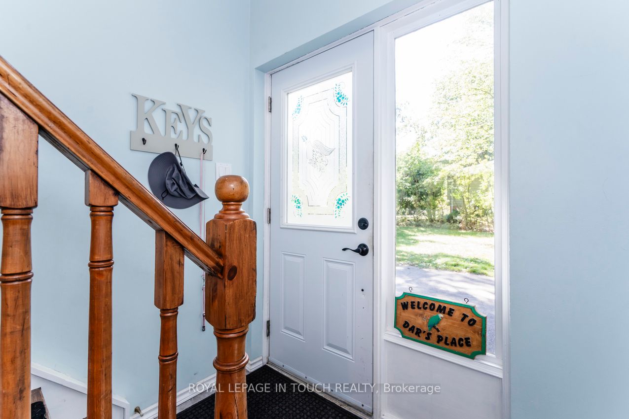 35 Dorcas Avenue