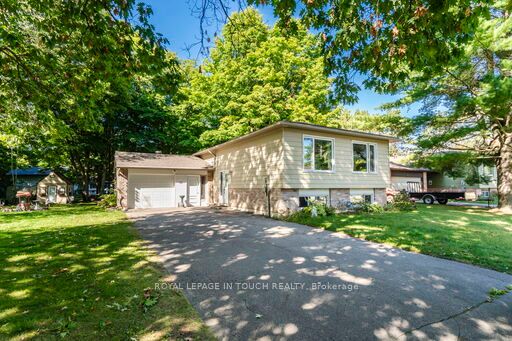 35 Dorcas Avenue