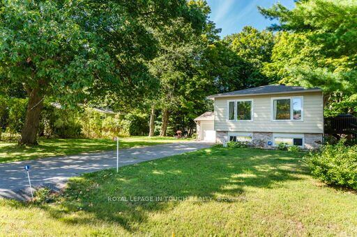 35 Dorcas Avenue