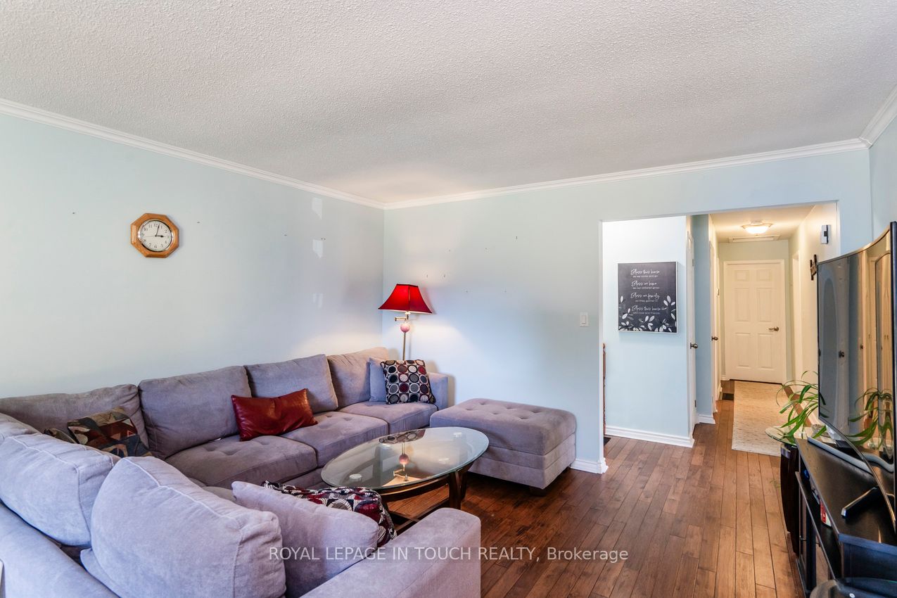 35 Dorcas Avenue