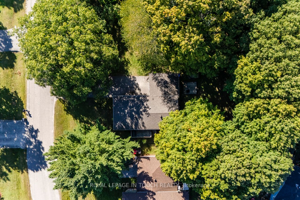 35 Dorcas Avenue