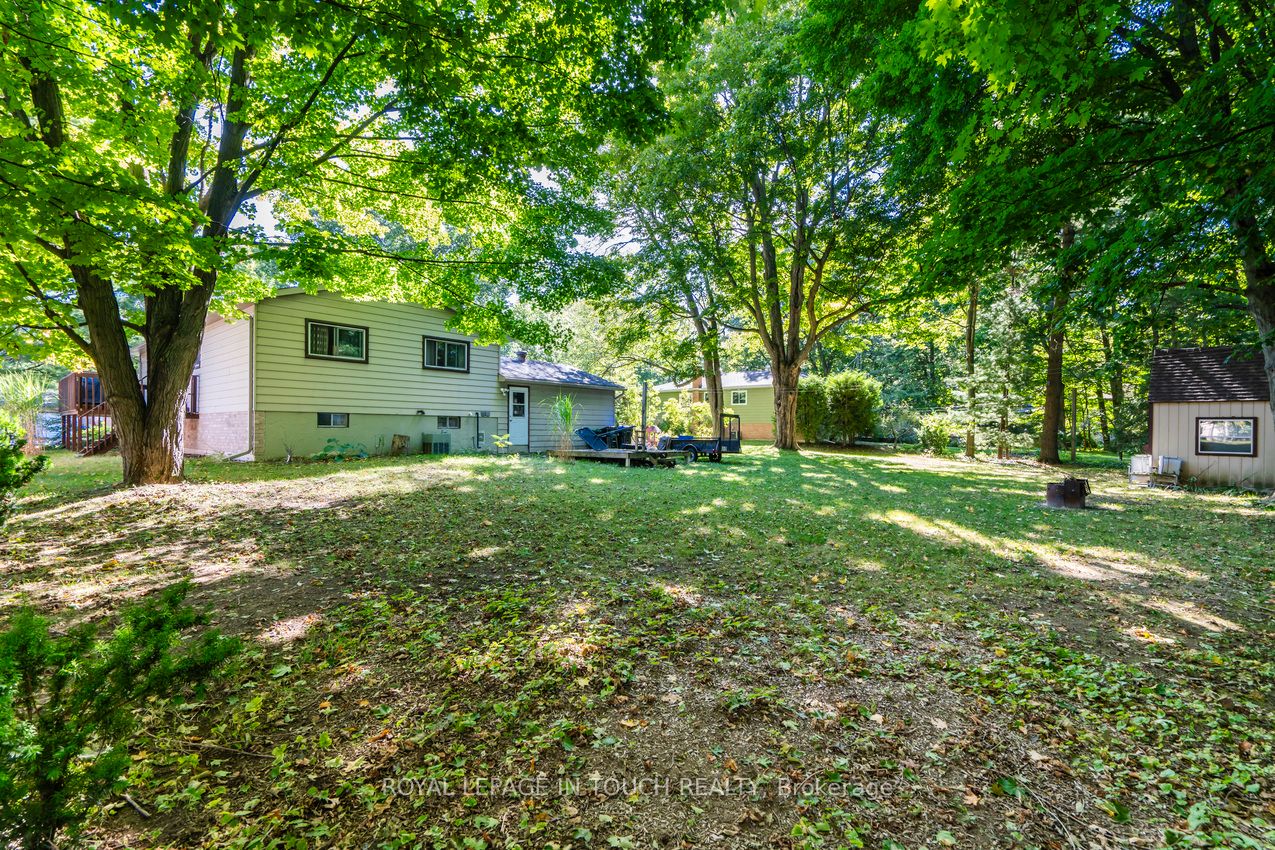 35 Dorcas Avenue