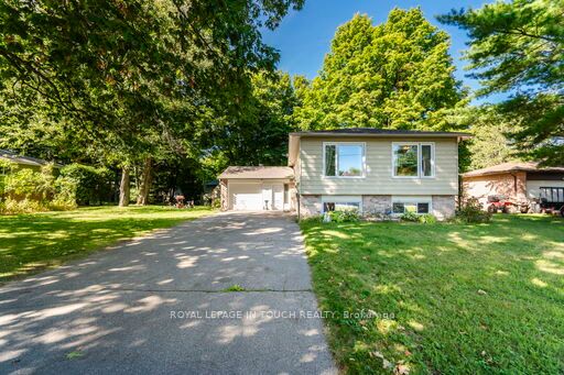 35 Dorcas Avenue