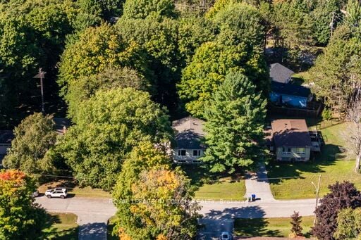 35 Dorcas Avenue