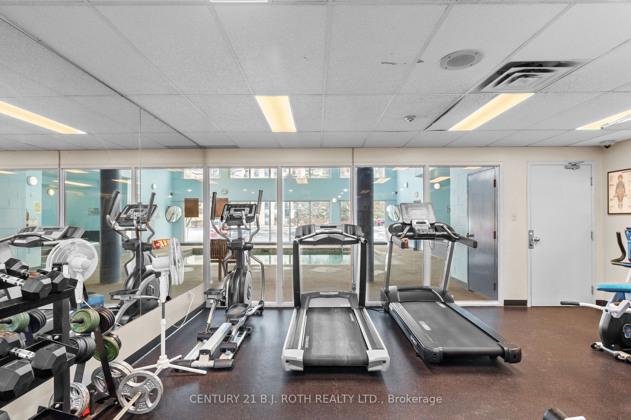 65 ELLEN Street, #808