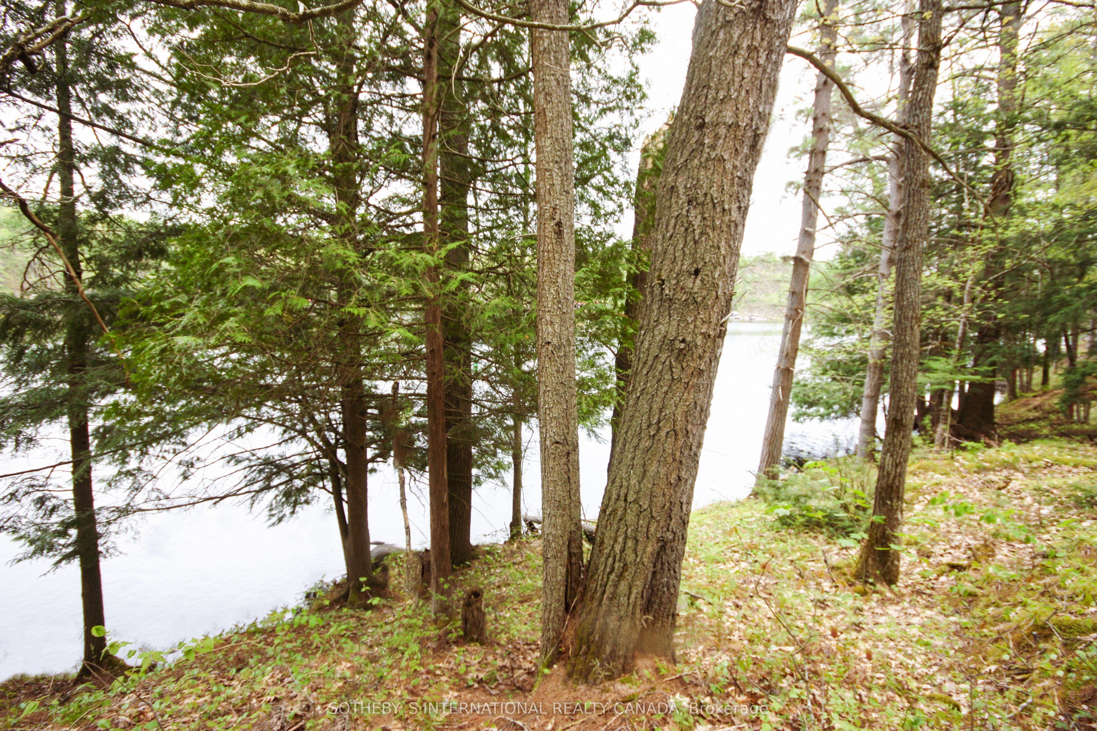 3197 Severn River