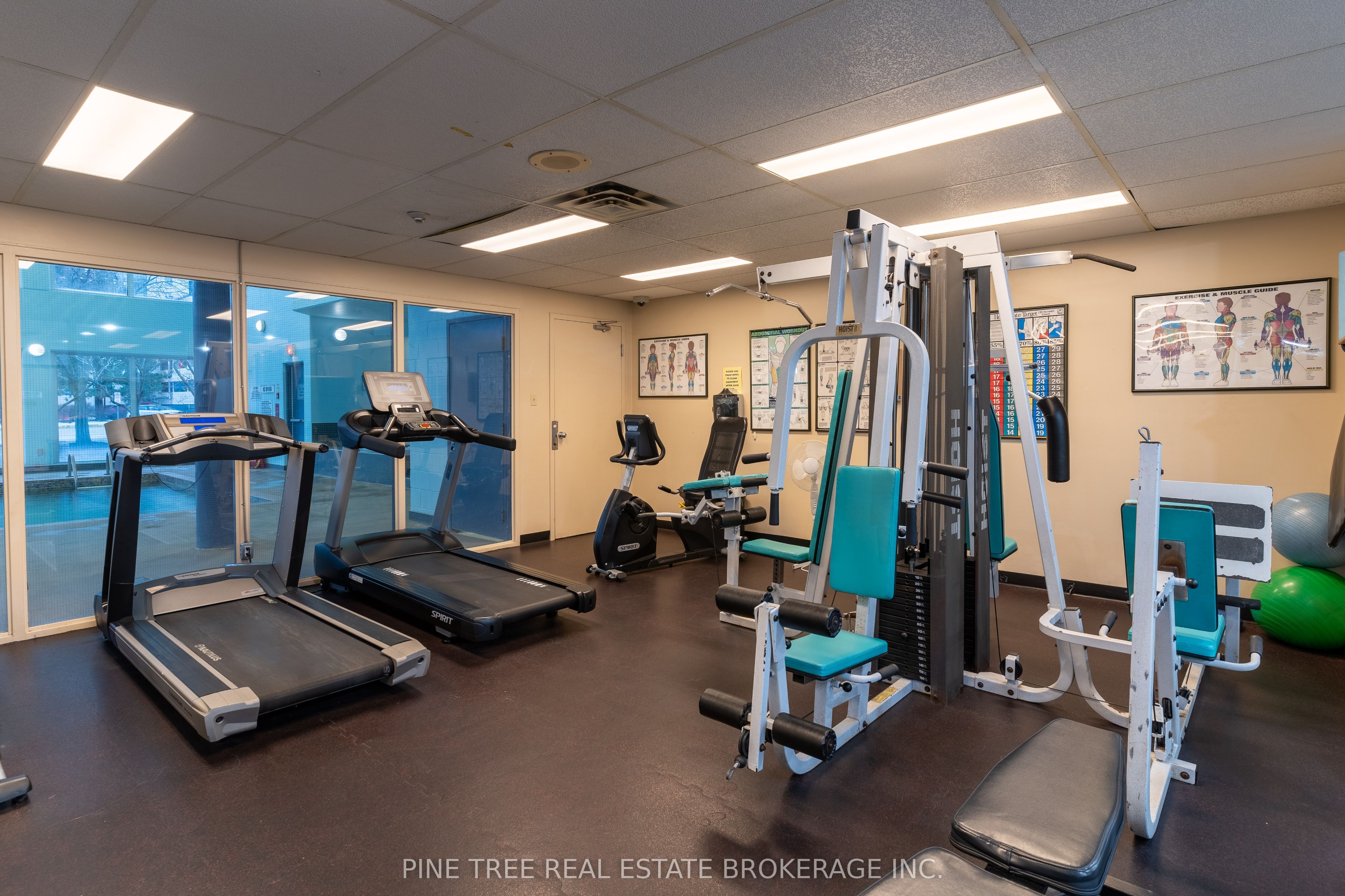 65 Ellen Street, #208