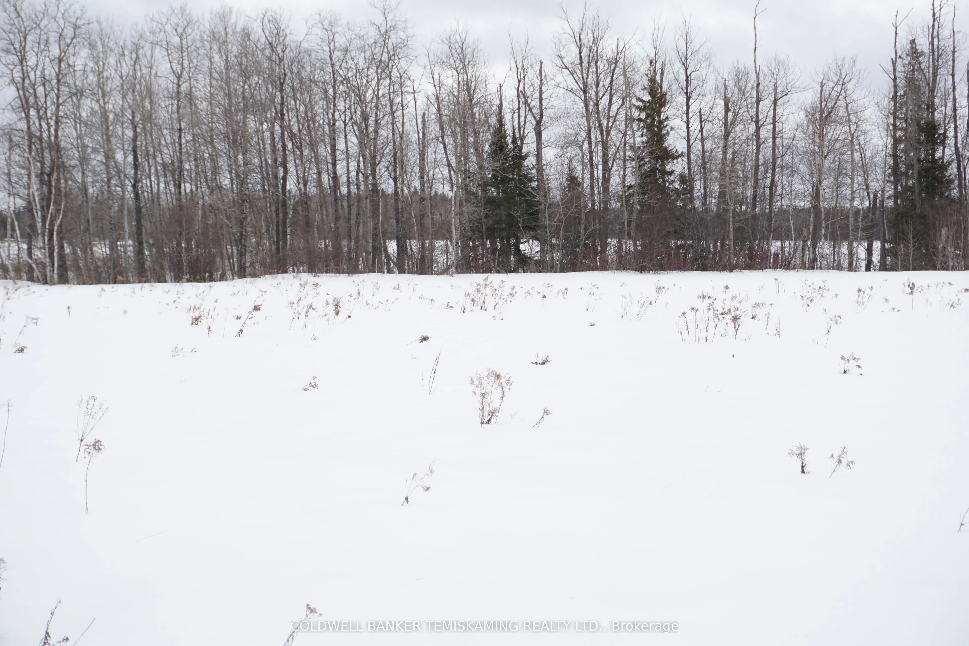 LOT 2 ROSEDALE Avenue