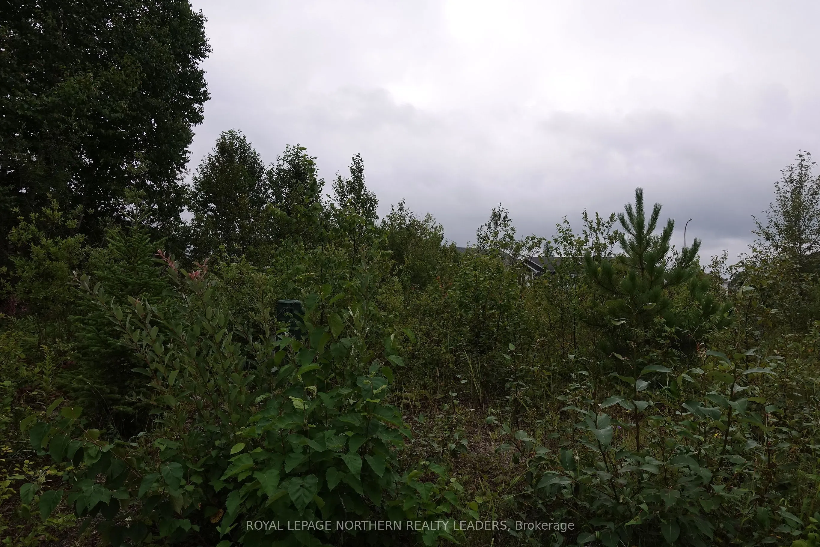 Lot 59 JV Bonhomme Boulevard