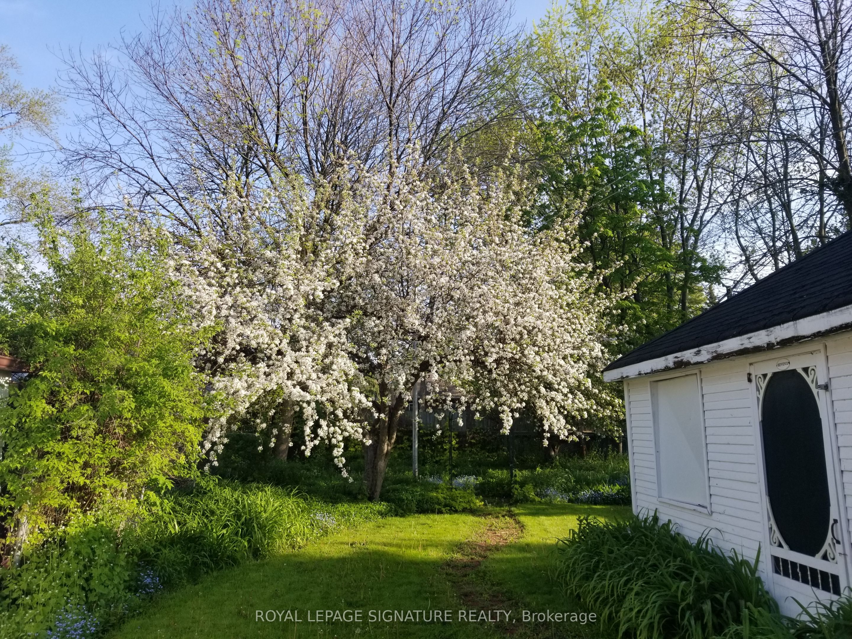6 Jasmine Avenue