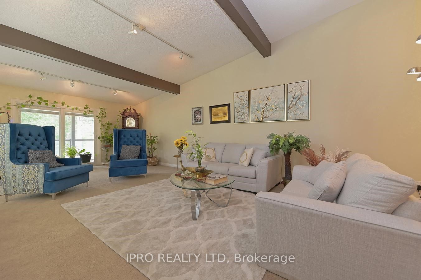 16 Cedar Drive