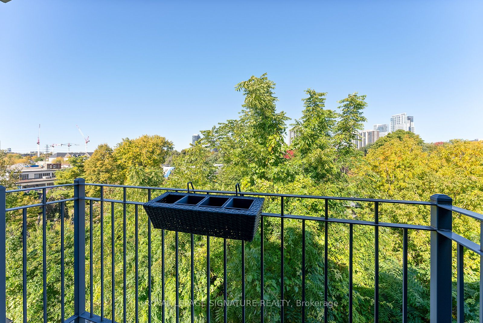 76 Lobo Mews