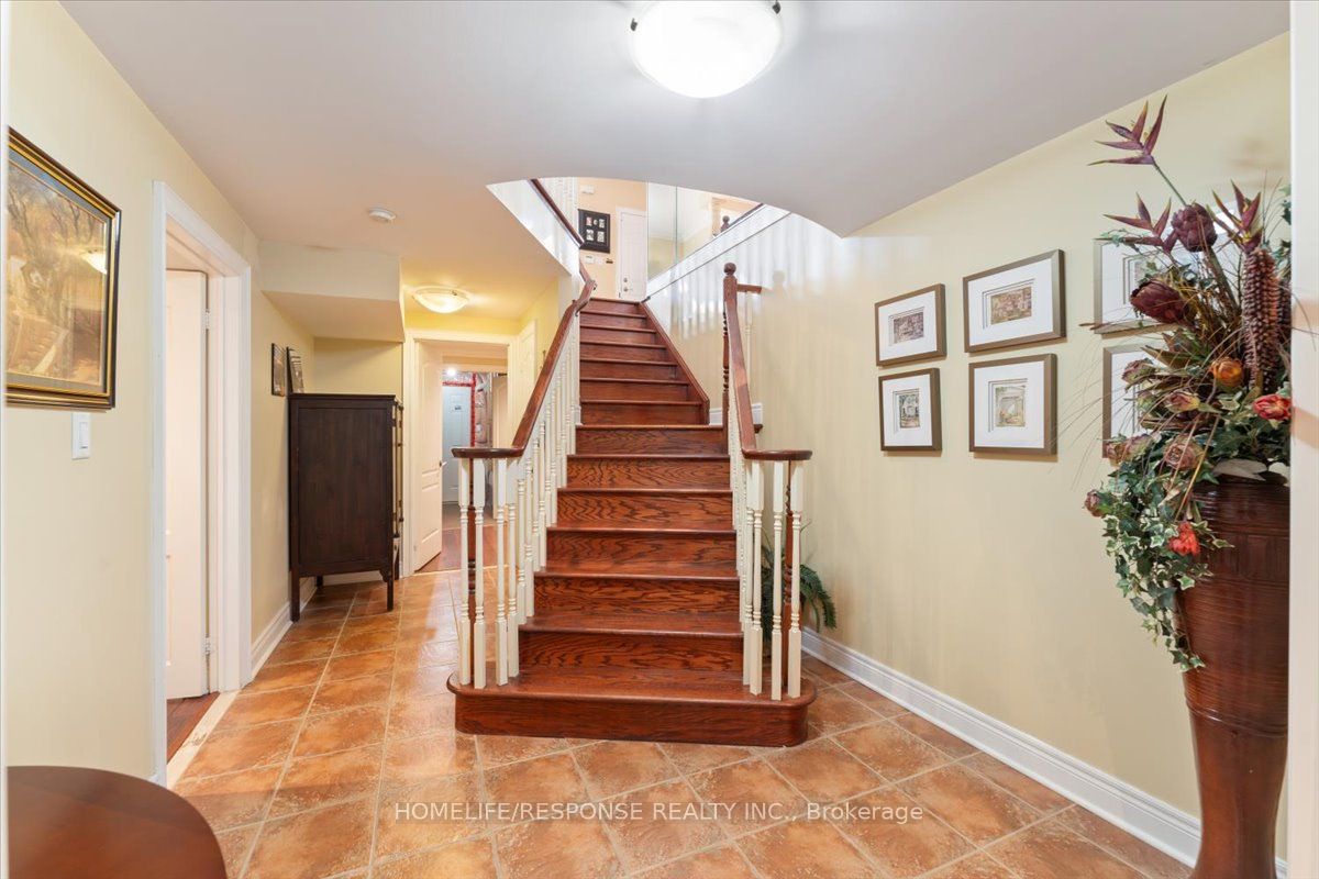 17 McNutt Street