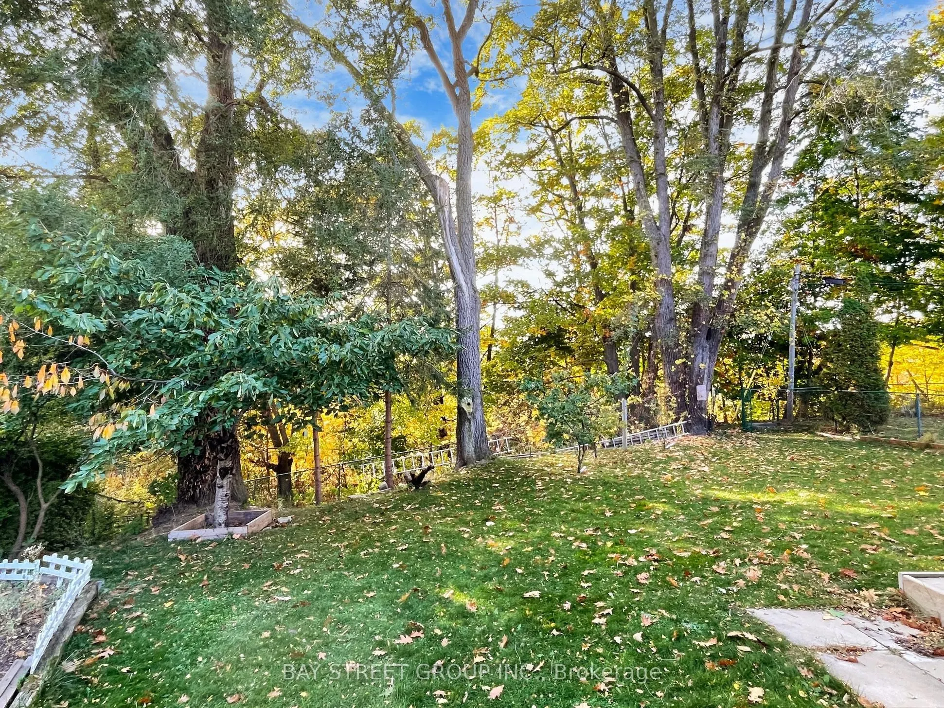 45 Enfield Avenue