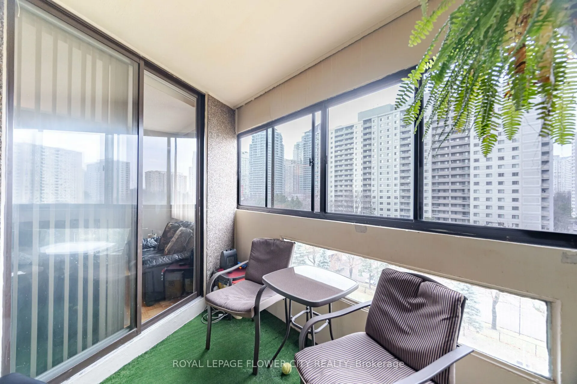 50 Elm Drive E, #706