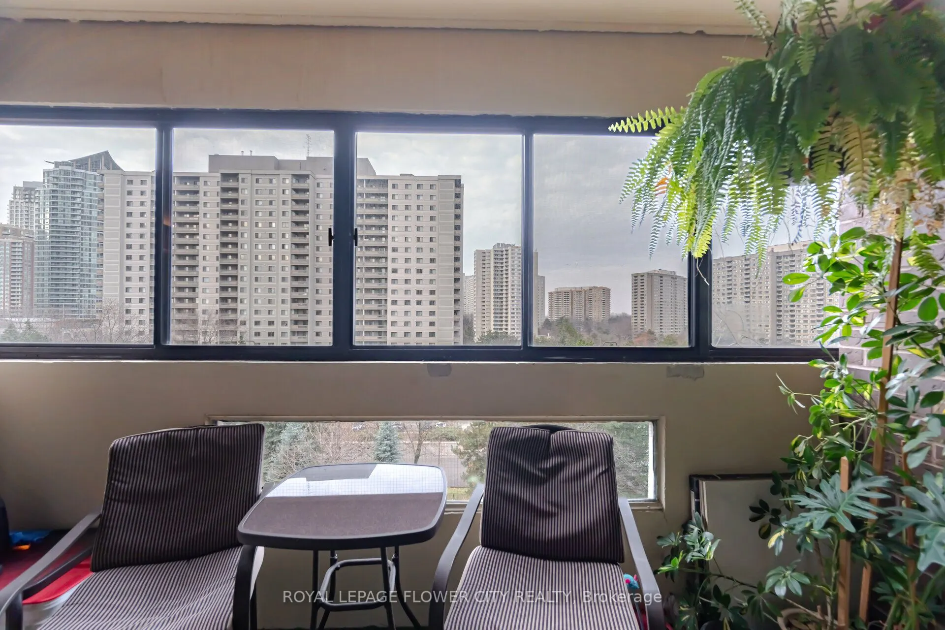 50 Elm Drive E, #706
