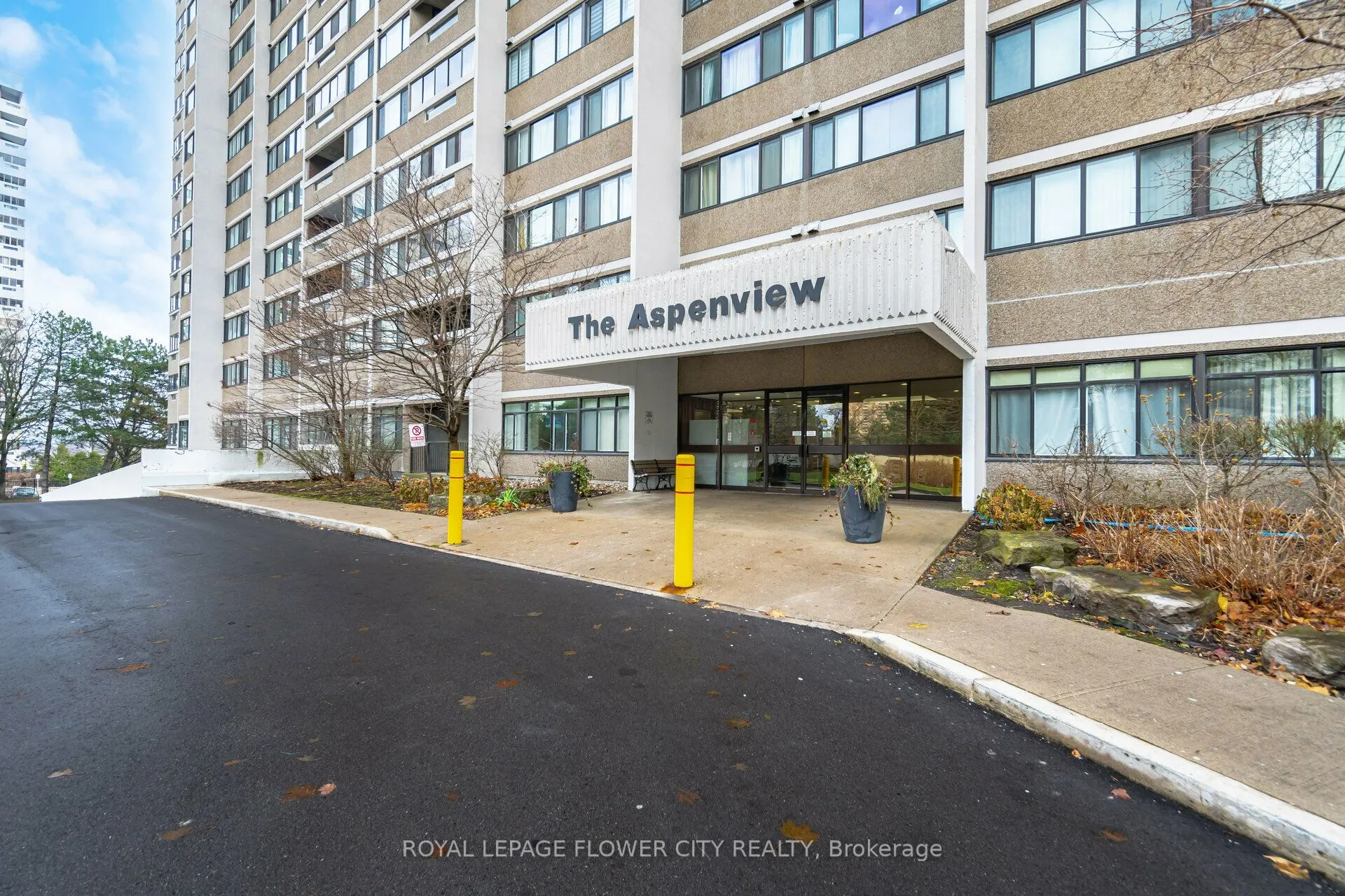 50 Elm Drive E, #706