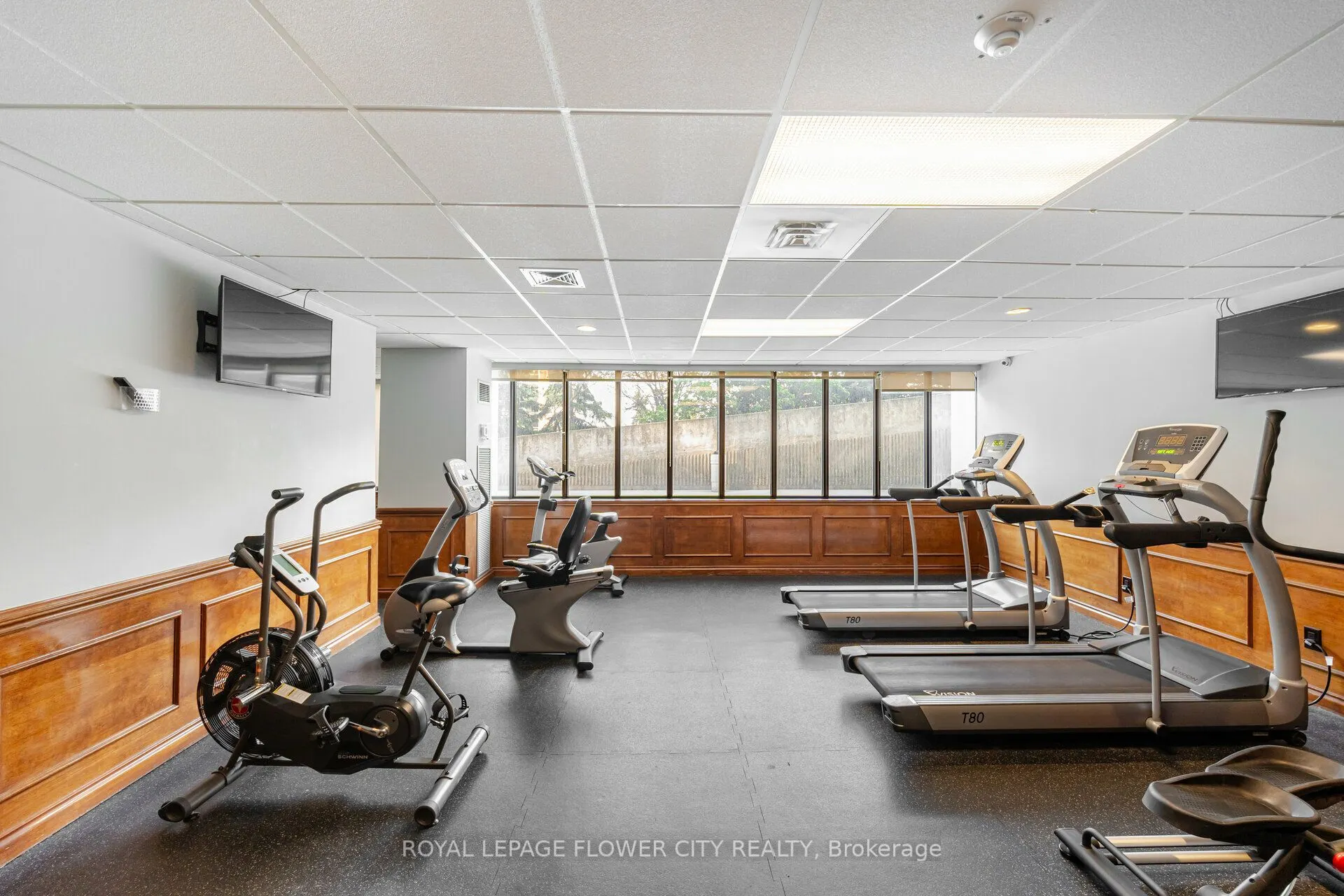 50 Elm Drive E, #706
