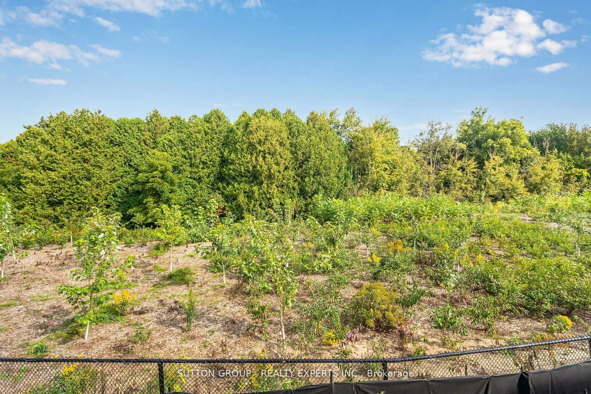 59 Raspberry Ridge Avenue