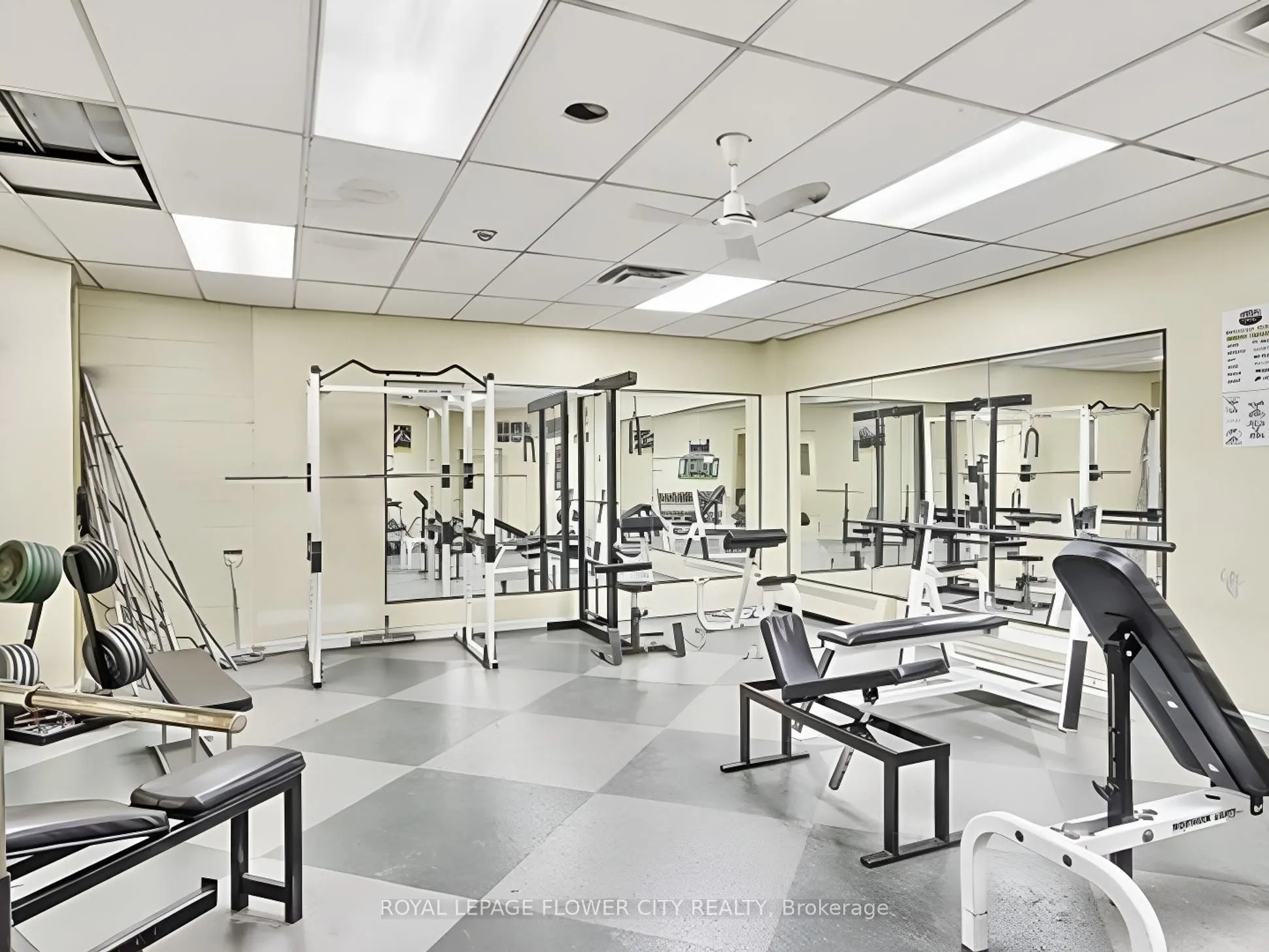 390 Dixon Road #1603