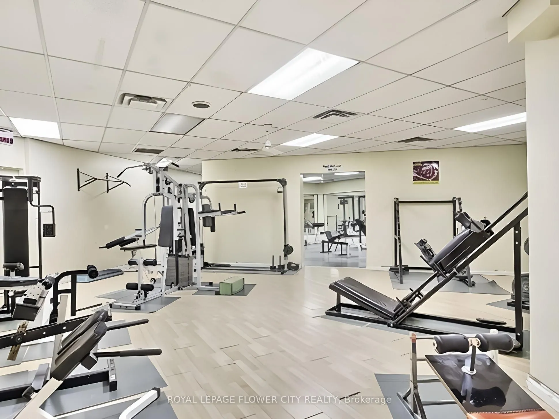 390 Dixon Road #1603